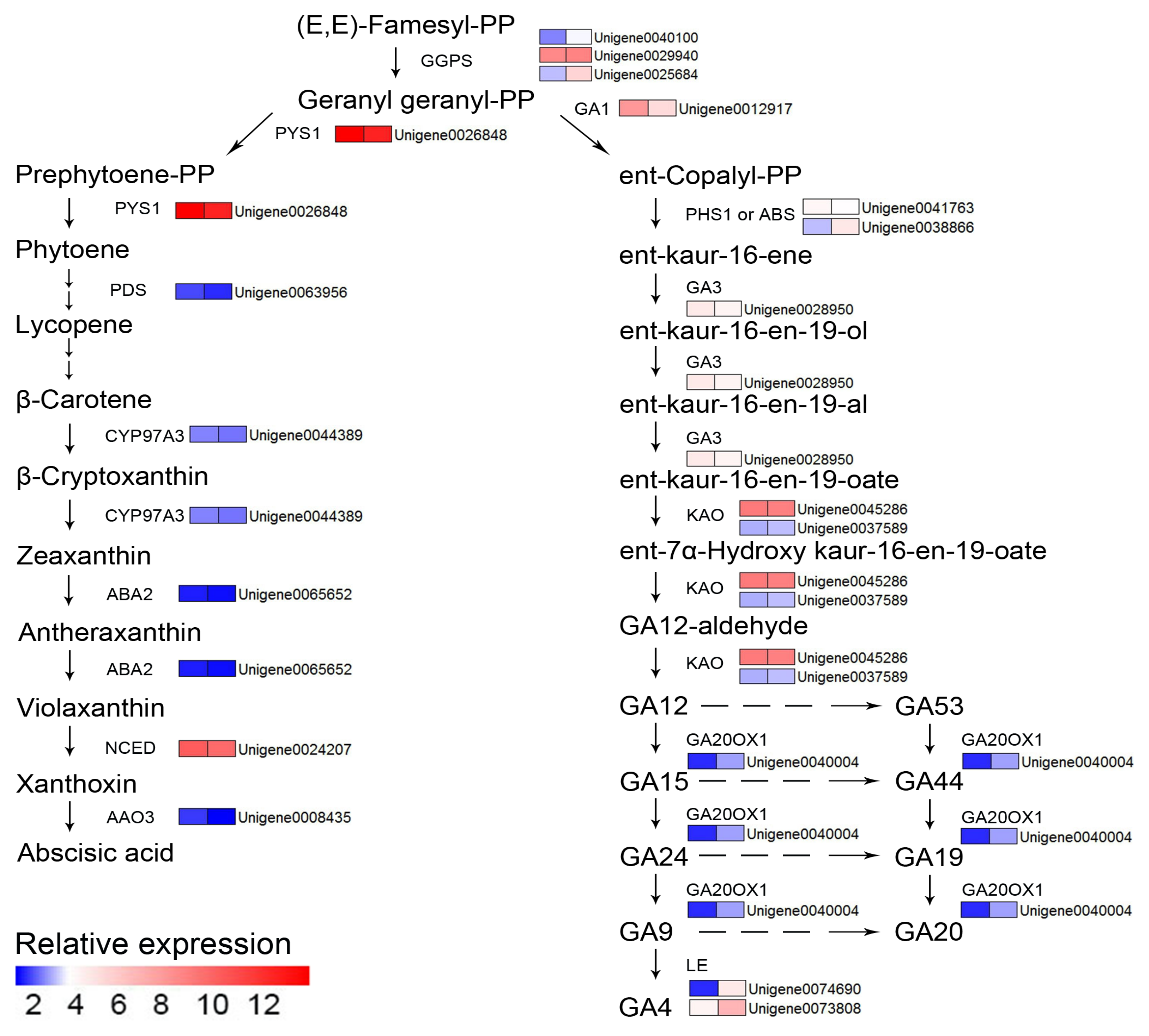 Forests 12 00257 g010