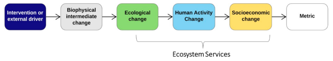 Forests 12 00267 g001