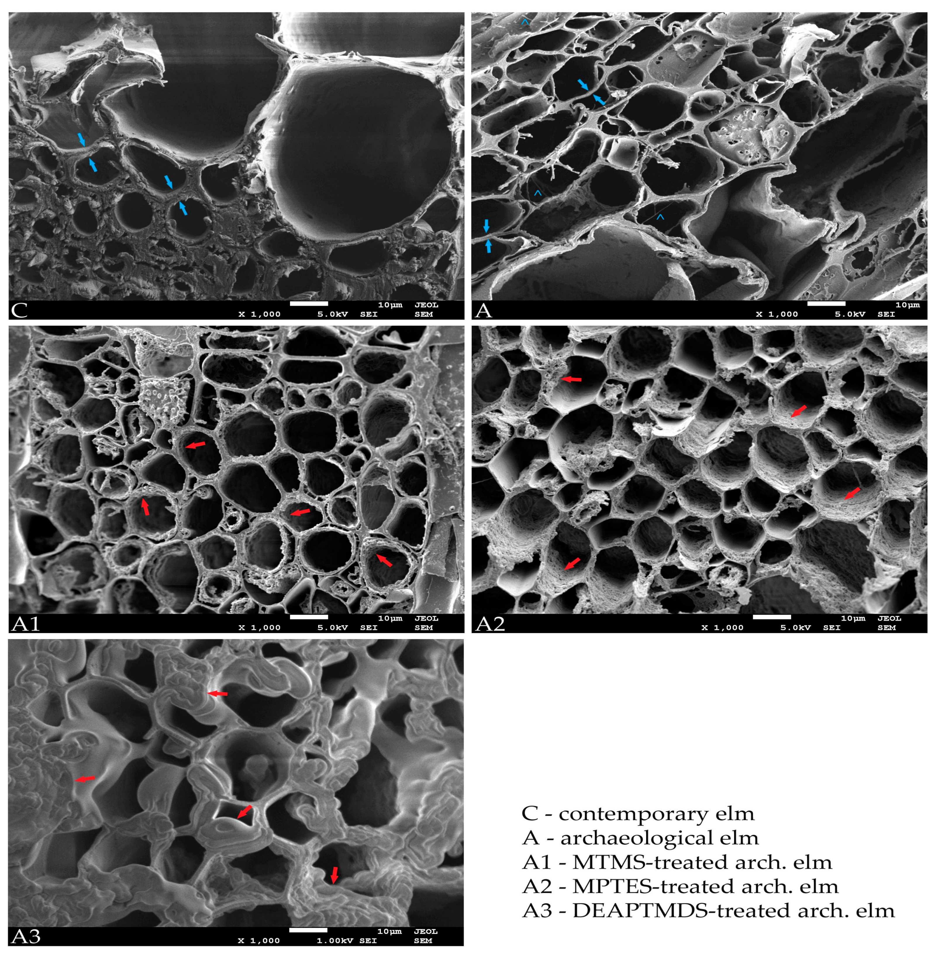 Forests 12 00268 g004