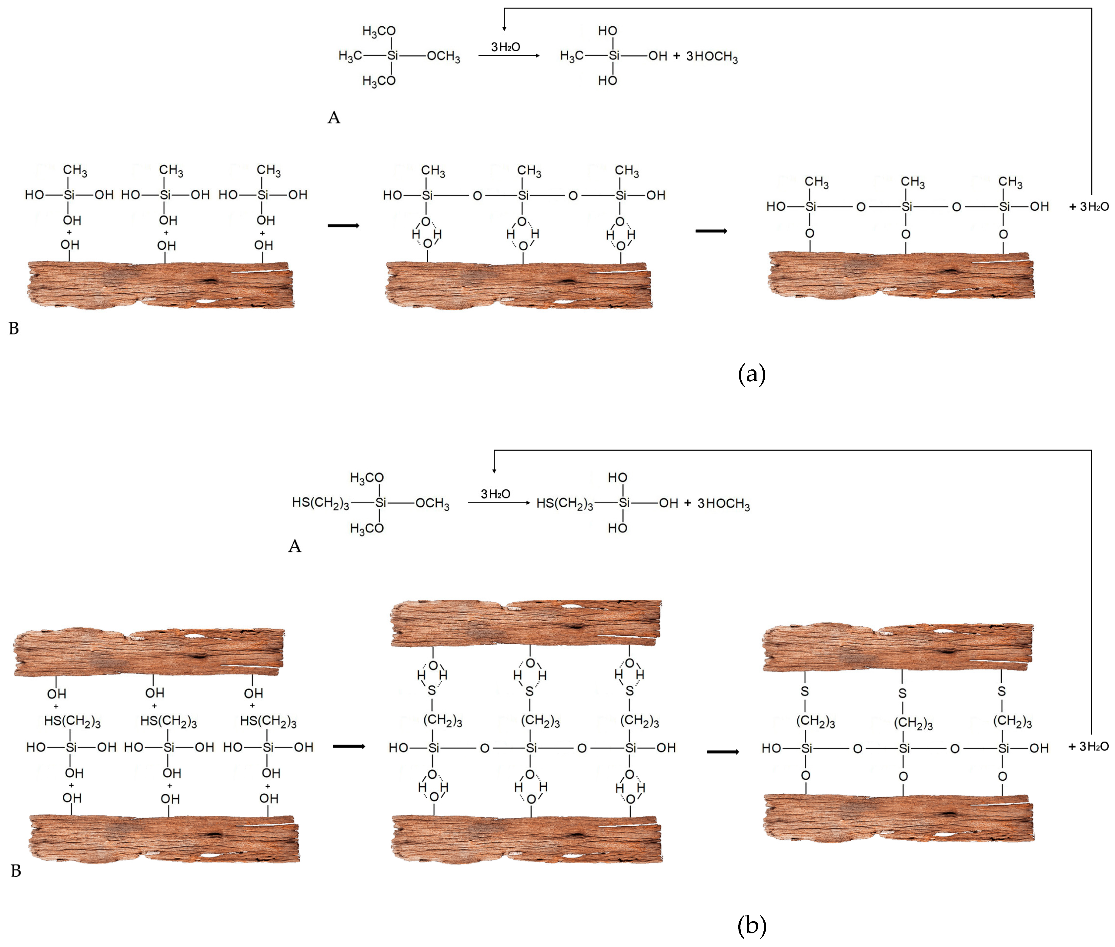 Forests 12 00268 g008a