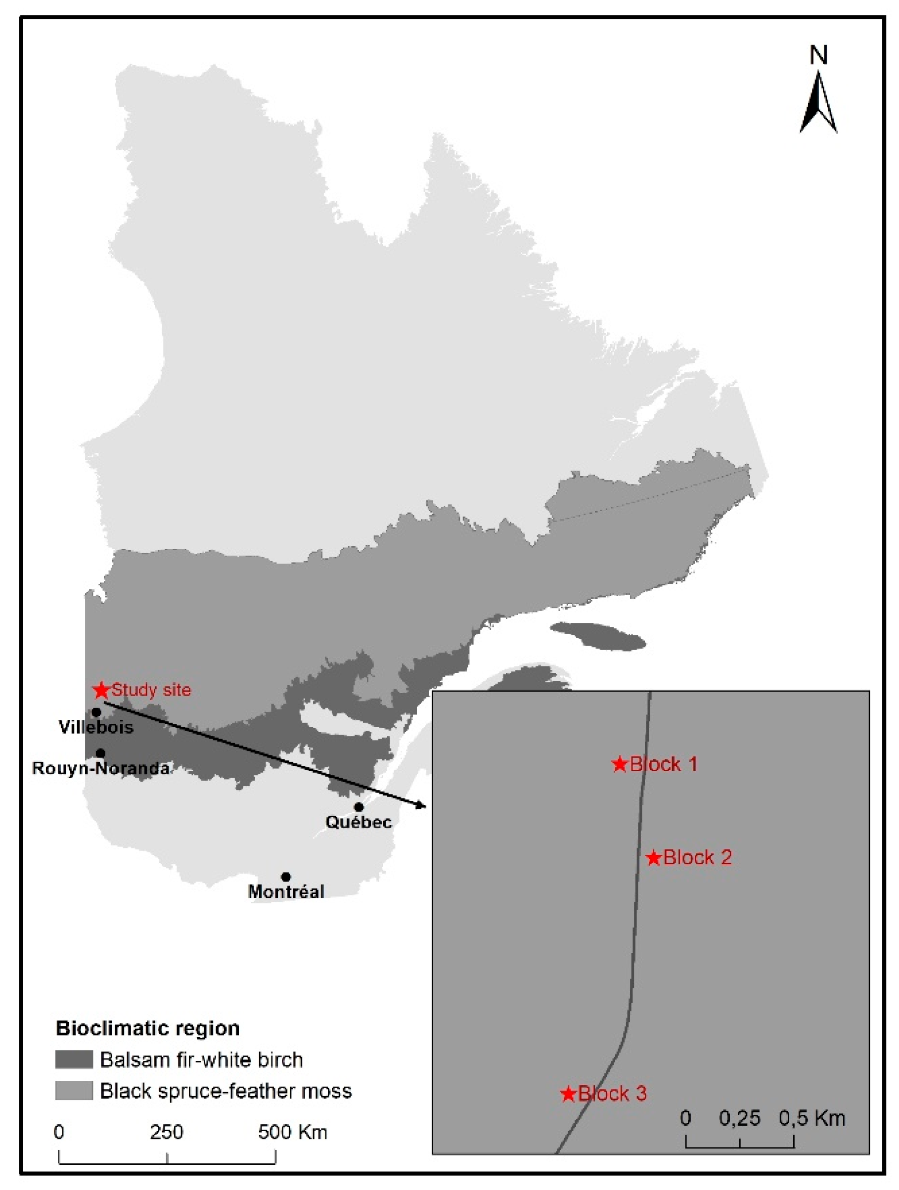 Forests 12 00271 g001