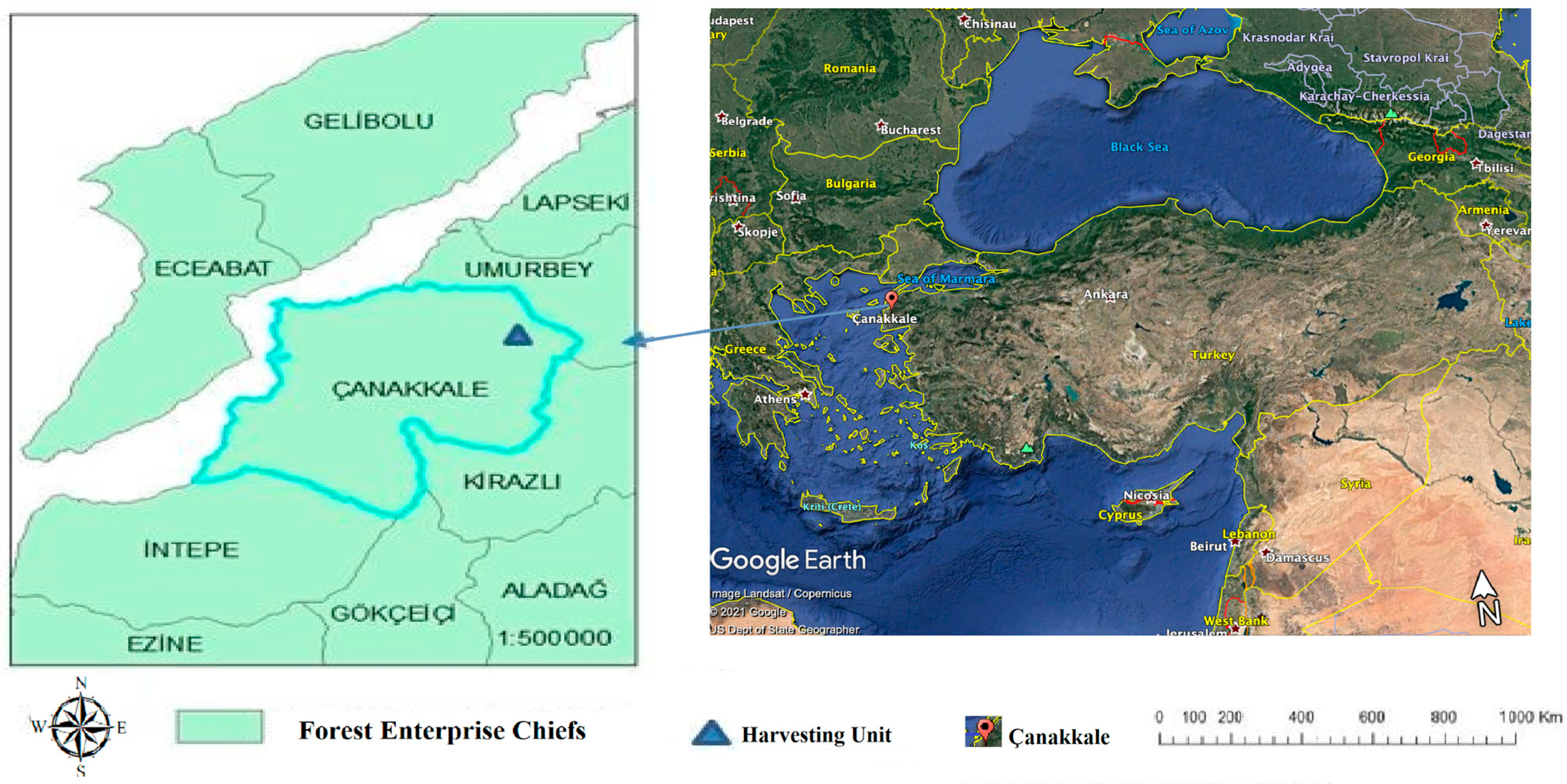 Forests 12 00284 g001