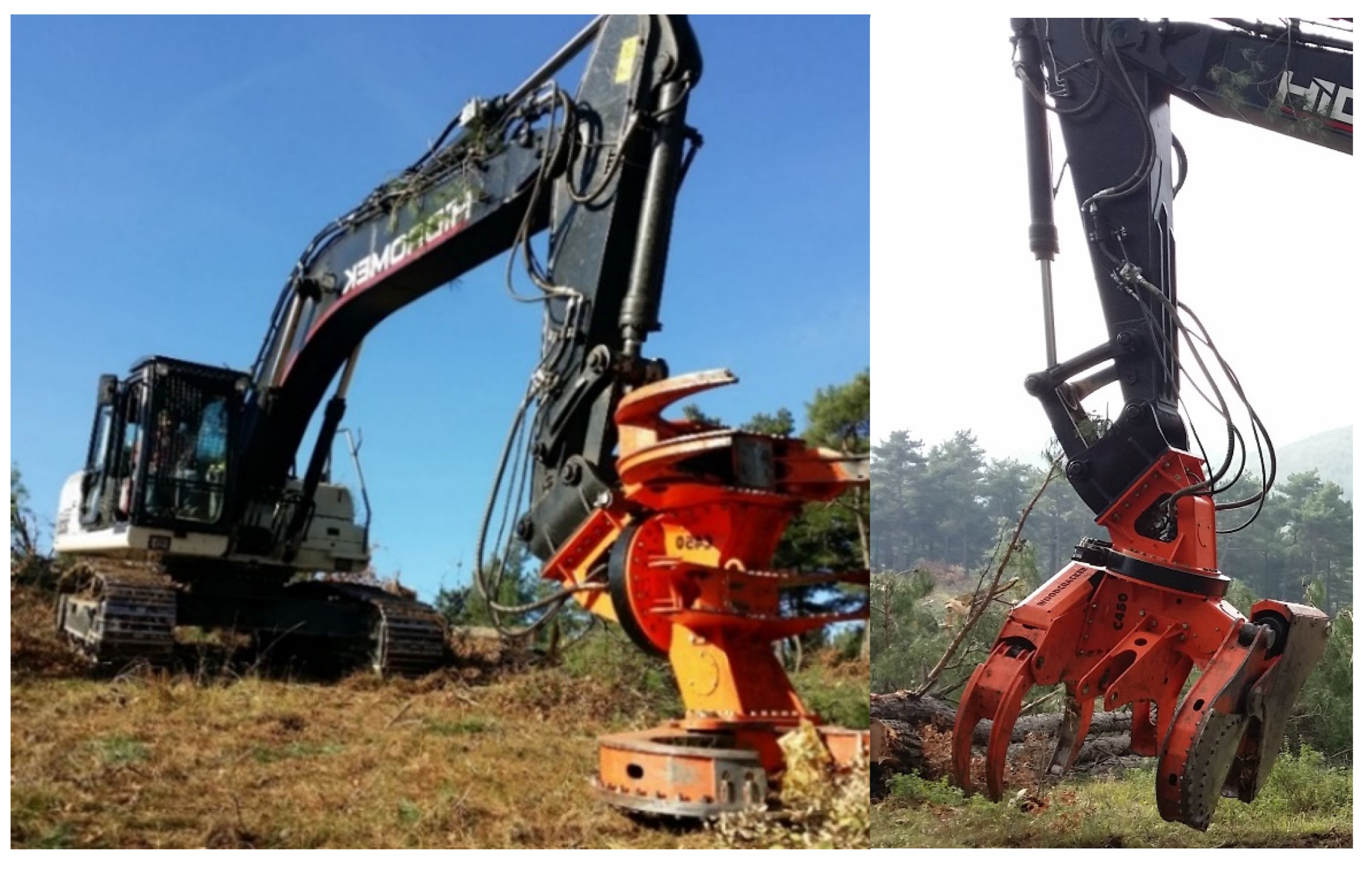 Forests 12 00284 g002