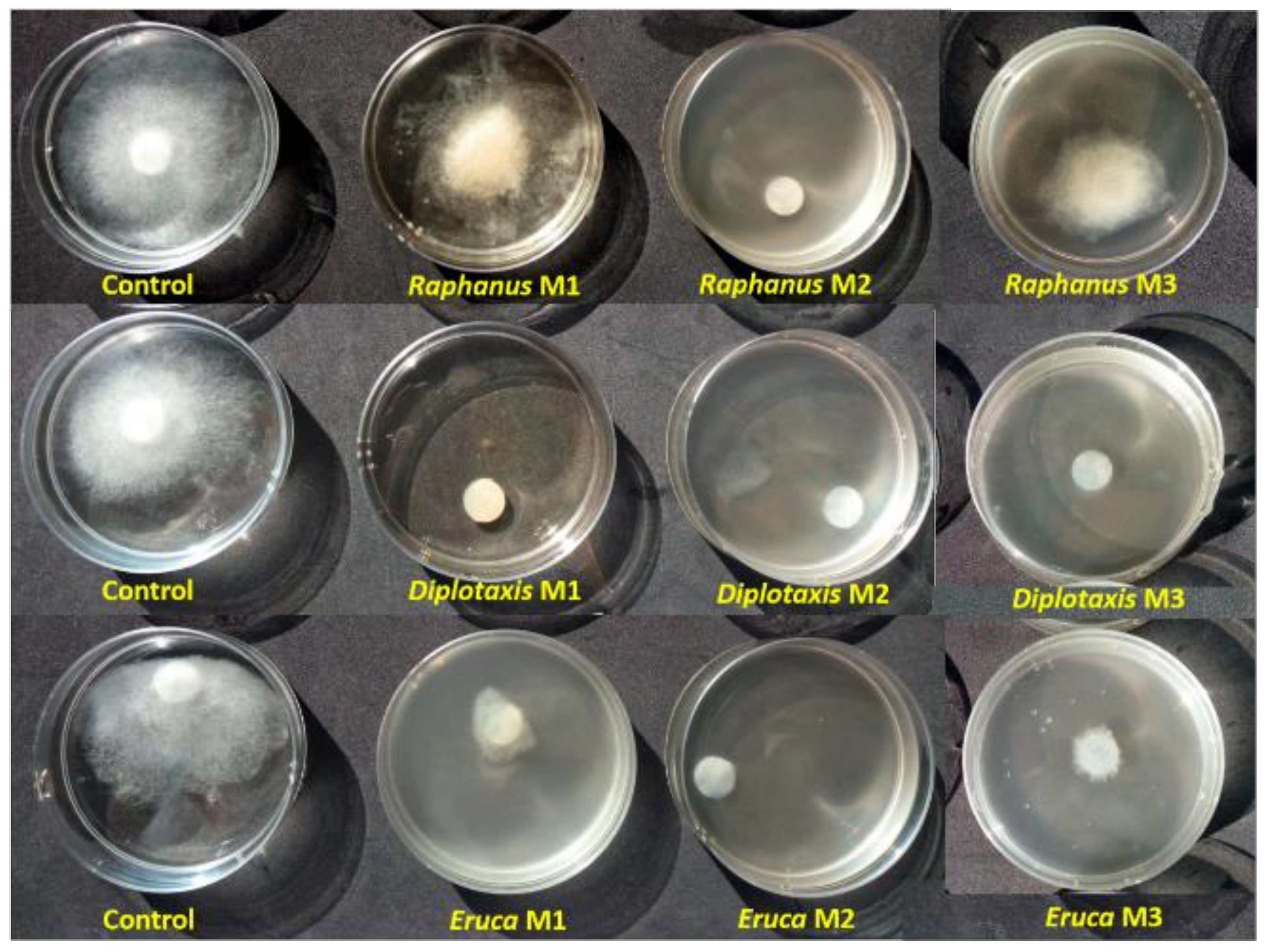 Forests 12 00285 g001