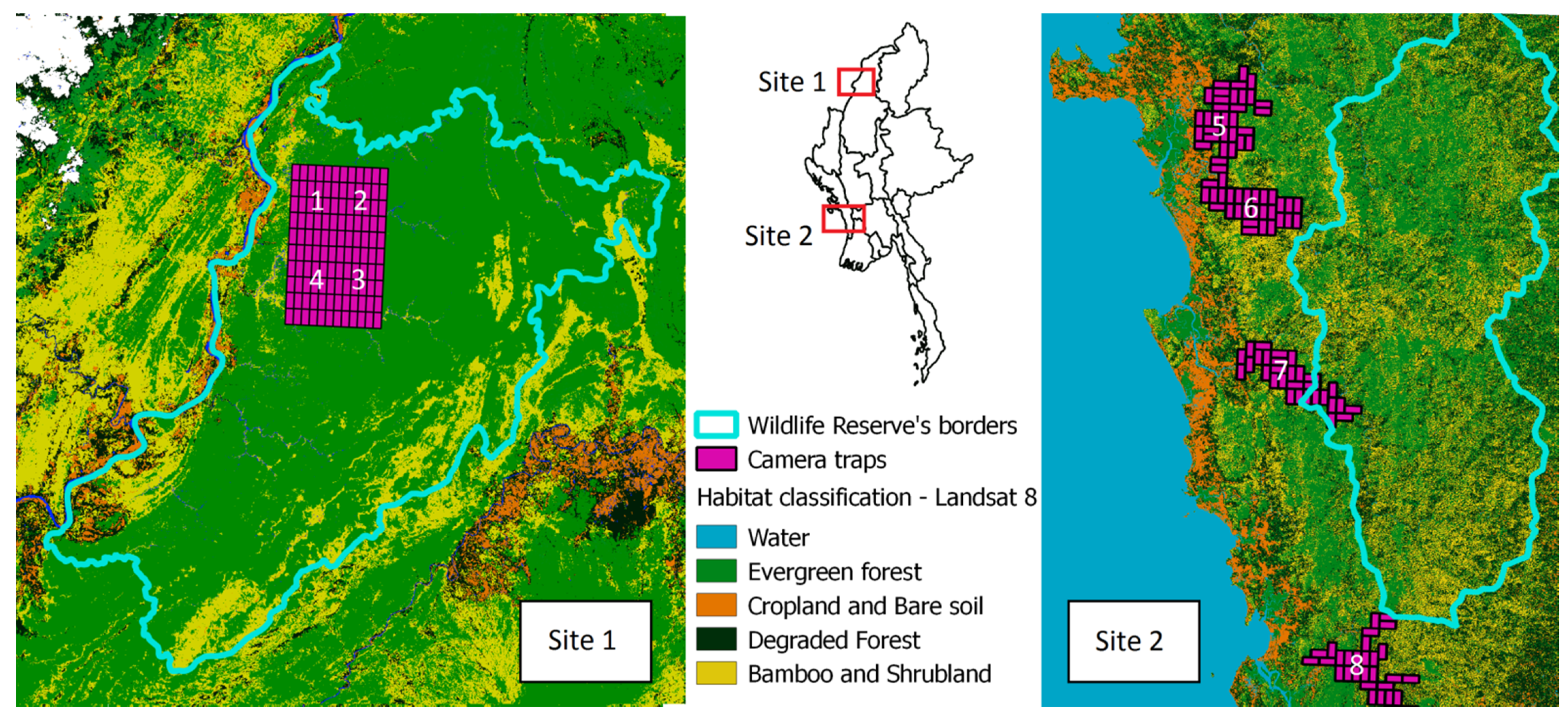 Forests 12 00290 g001