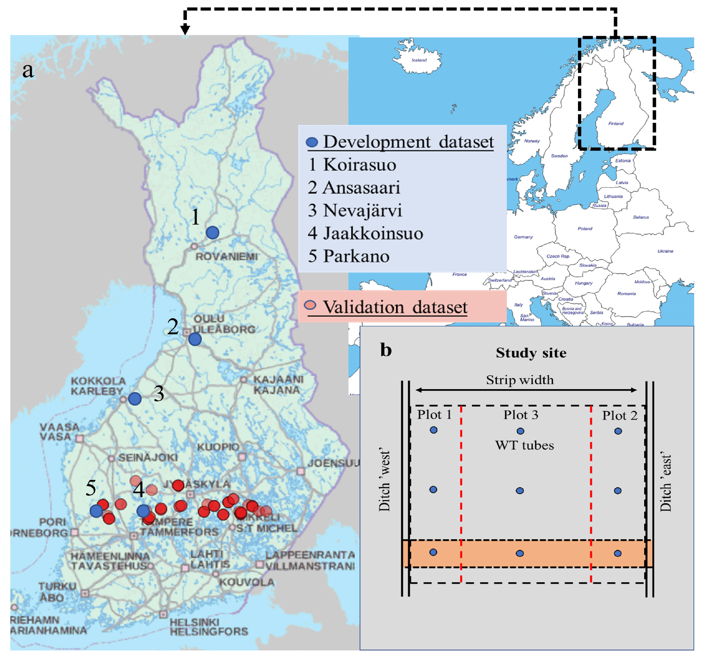 Forests 12 00293 g001
