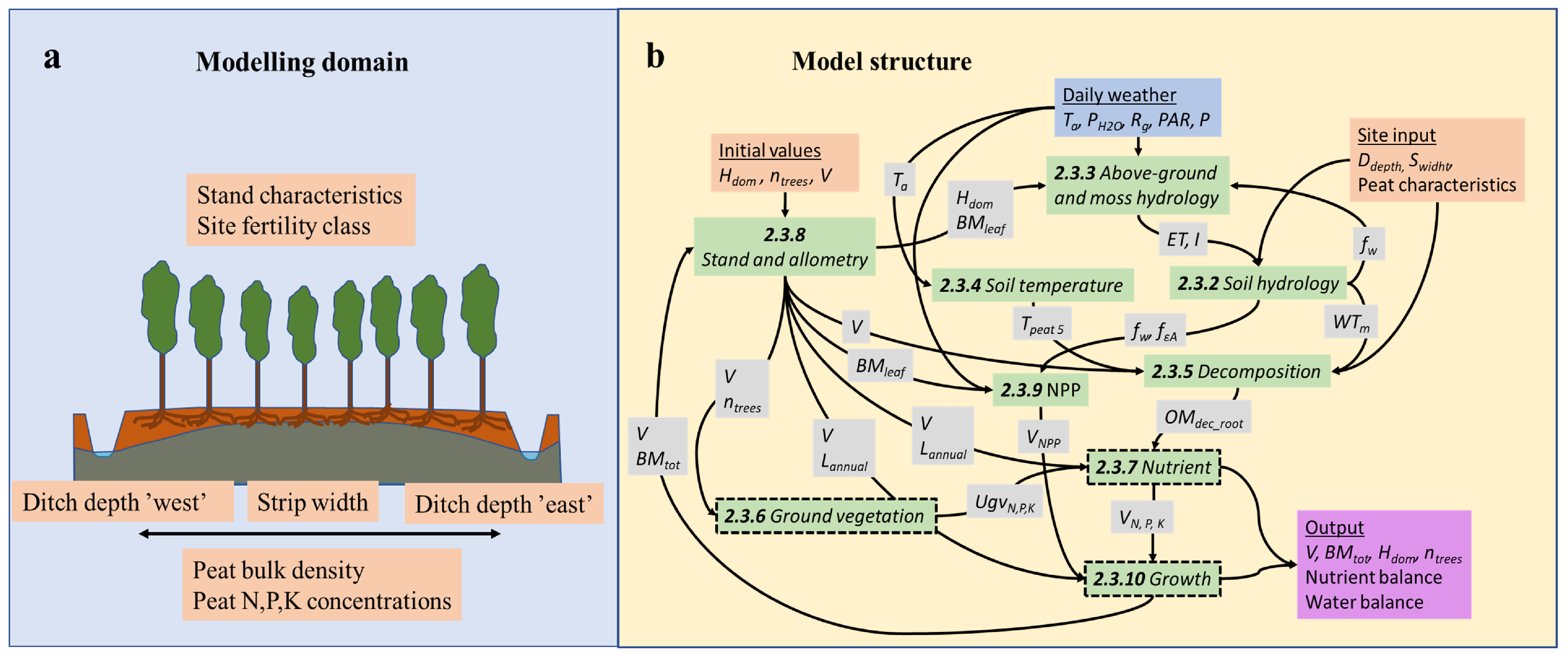 Forests 12 00293 g002