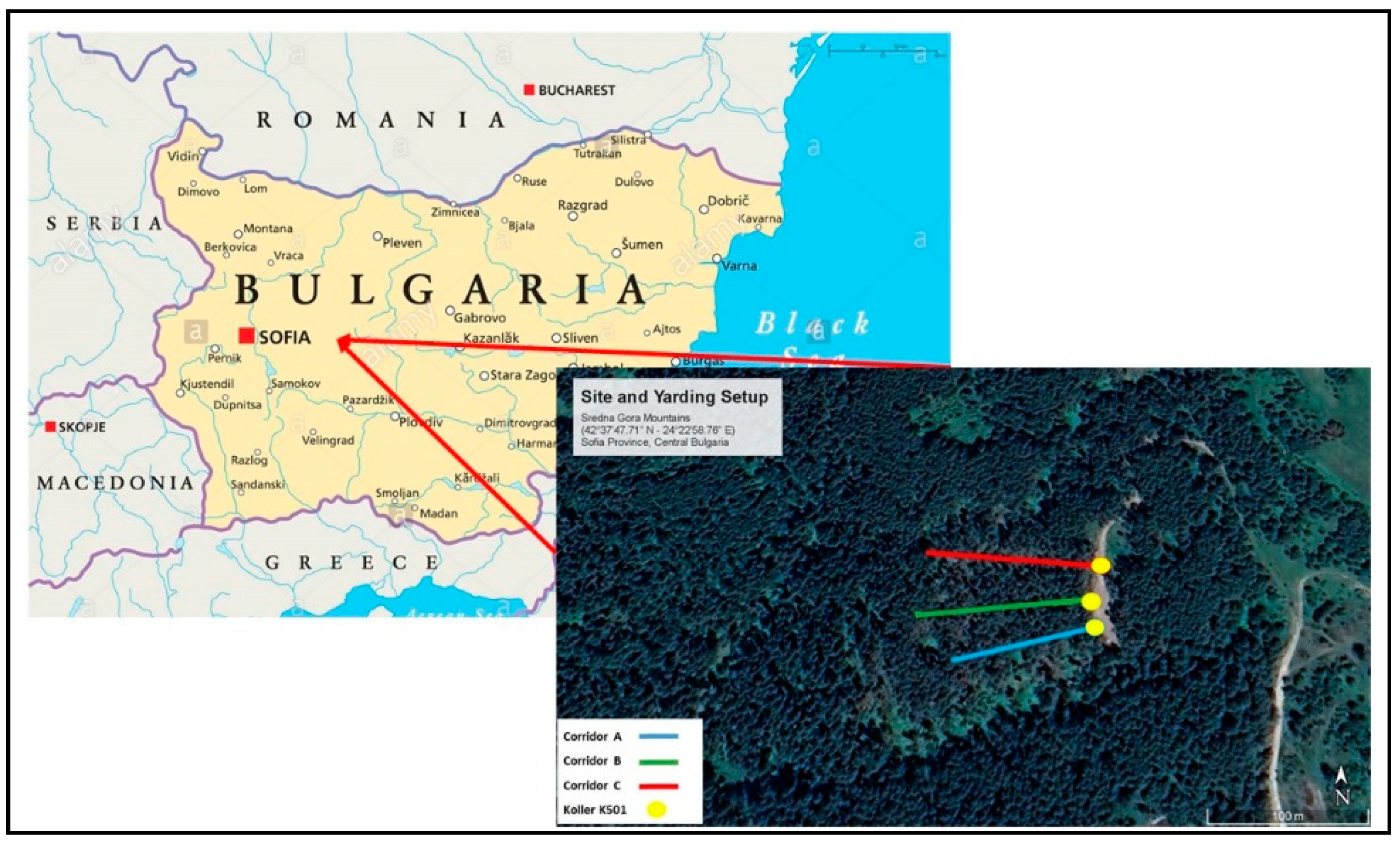 Forests 12 00309 g001 Forests 12 00309 g001