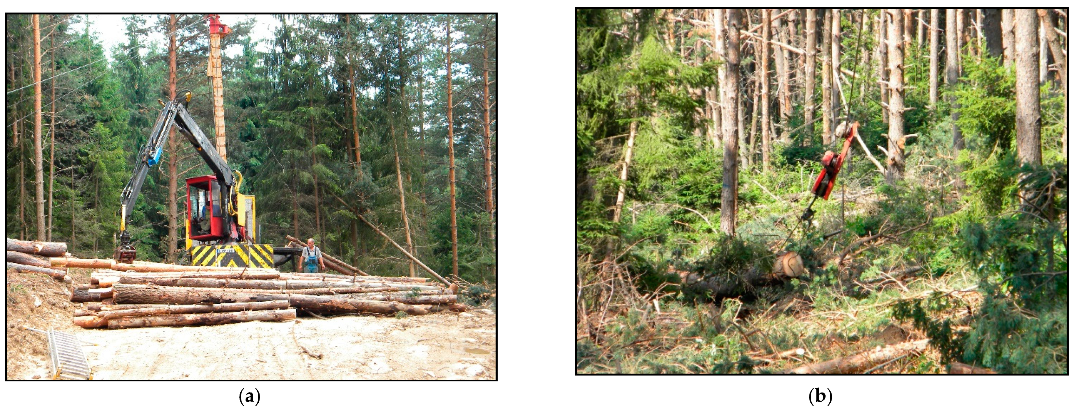 Forests 12 00309 g002 Forests 12 00309 g002