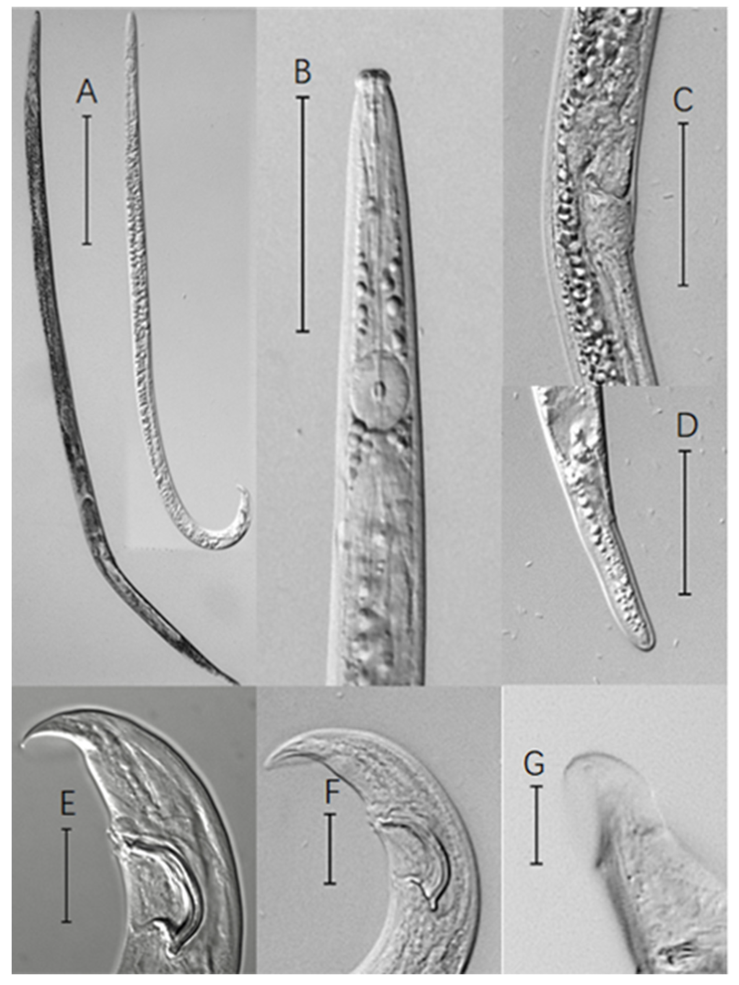 Forests 12 00310 g002