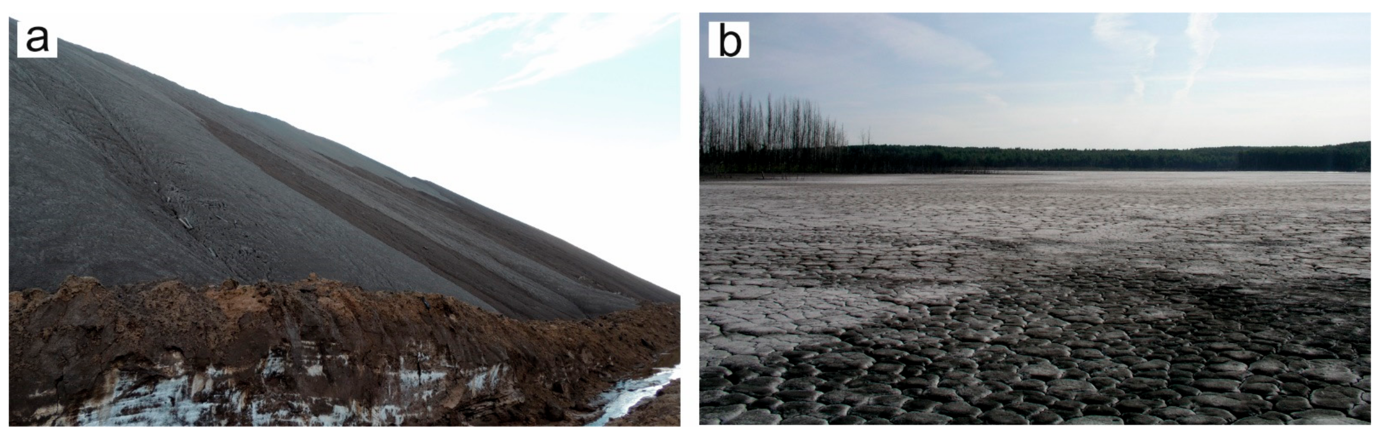 Forests 12 00321 g002