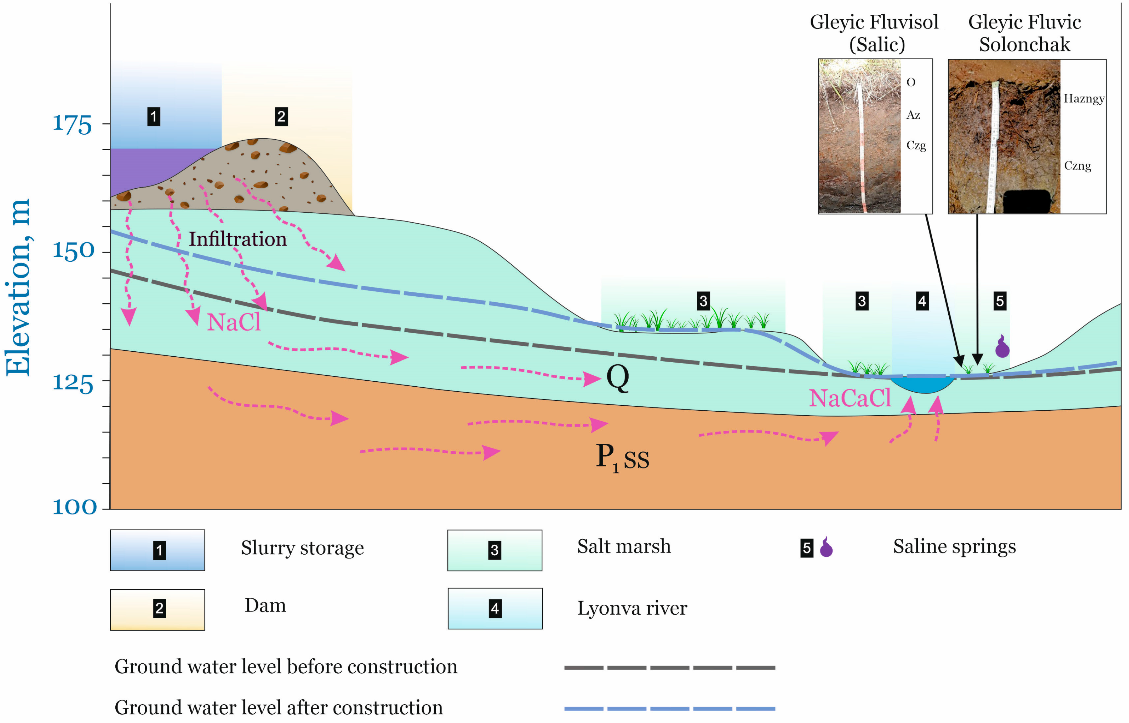 Forests 12 00321 g006