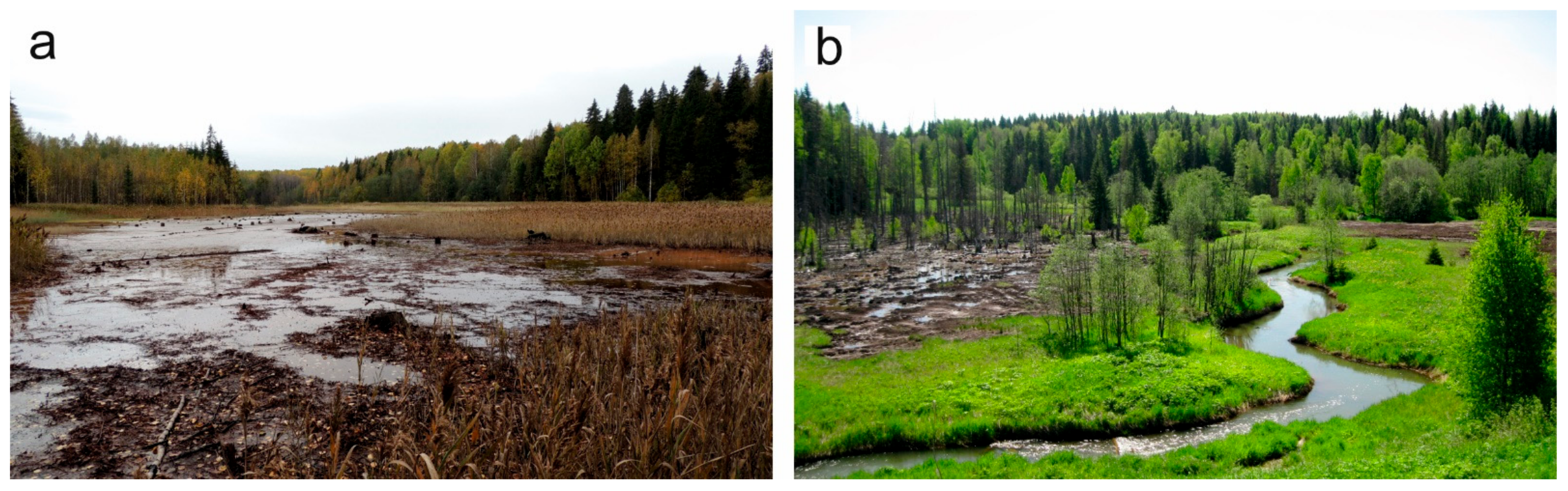 Forests 12 00321 g008