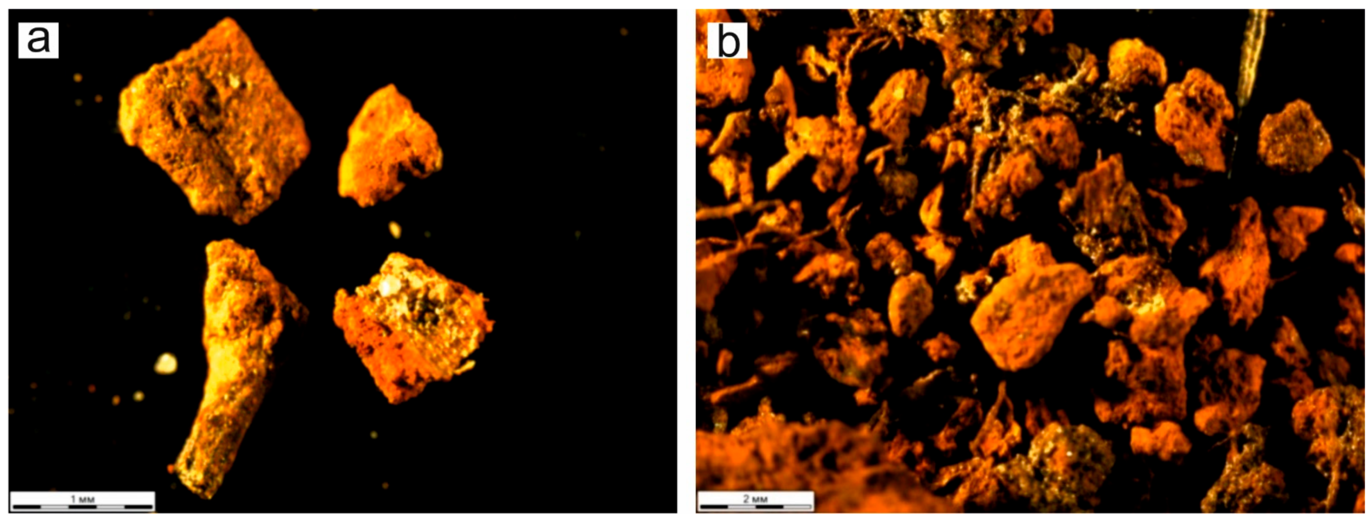 Forests 12 00321 g010