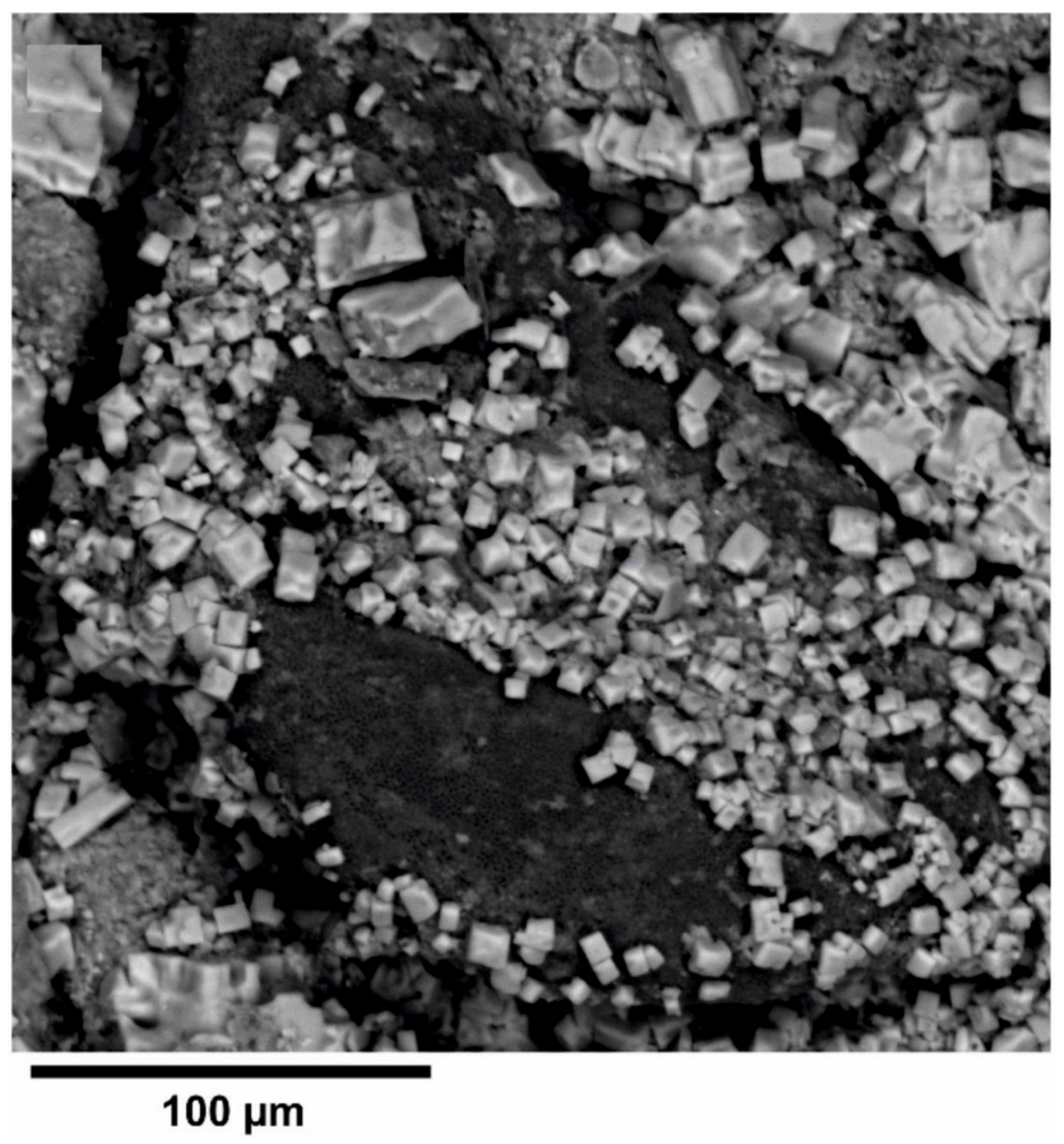 Forests 12 00321 g011