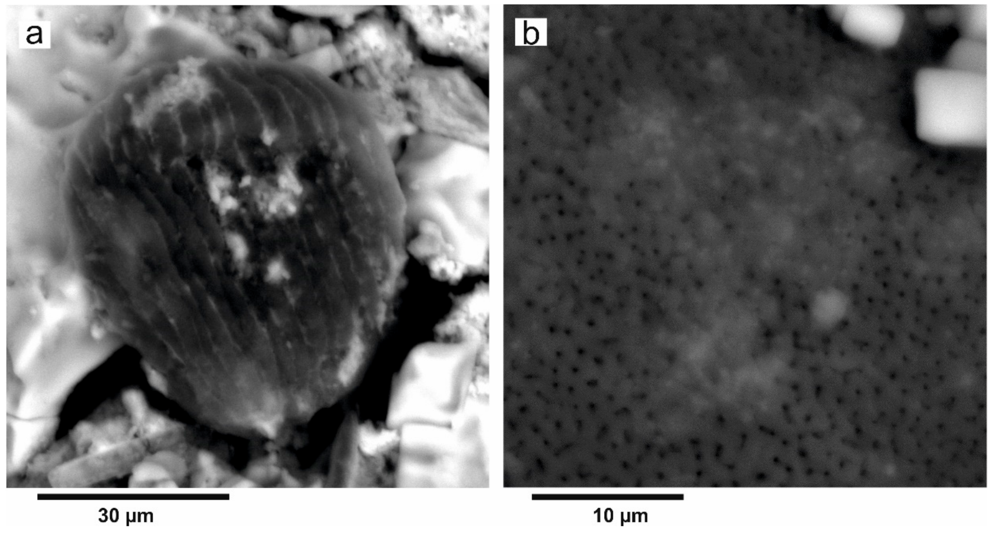 Forests 12 00321 g012
