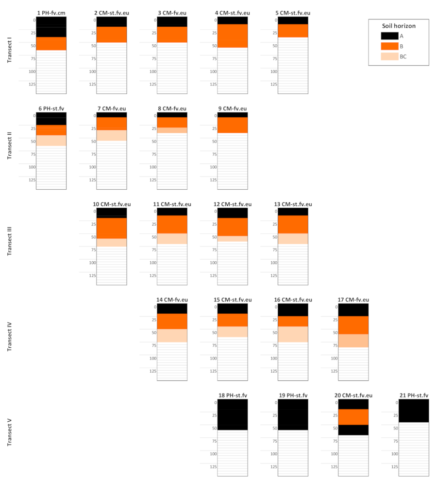 Forests 12 00329 g007 Forests 12 00329 g007