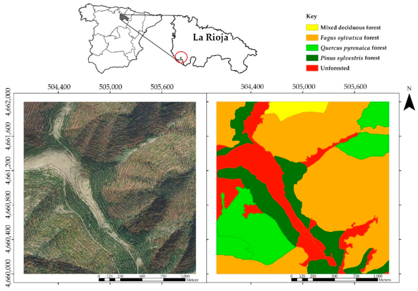 Forests 12 00335 g001 Forests 12 00335 g001
