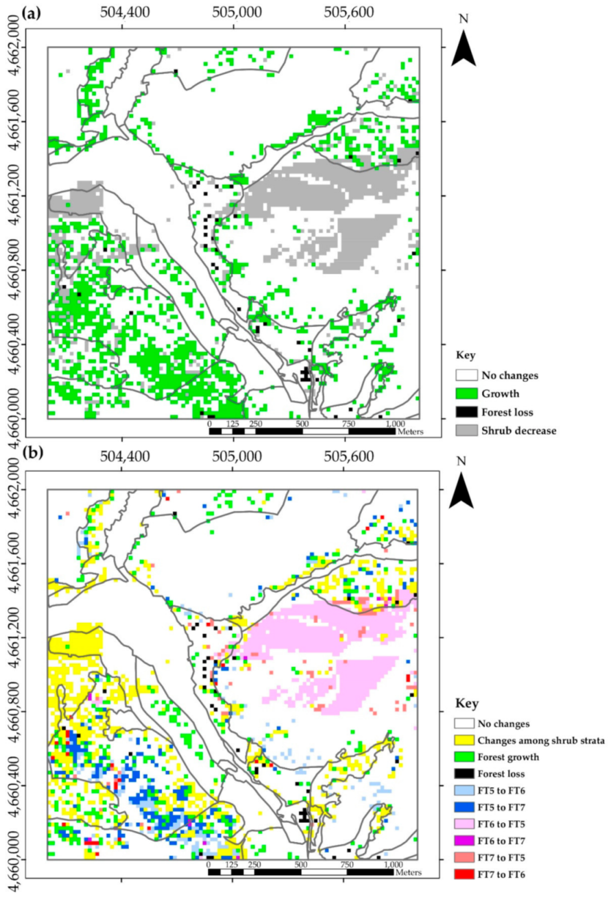 Forests 12 00335 g003 Forests 12 00335 g003