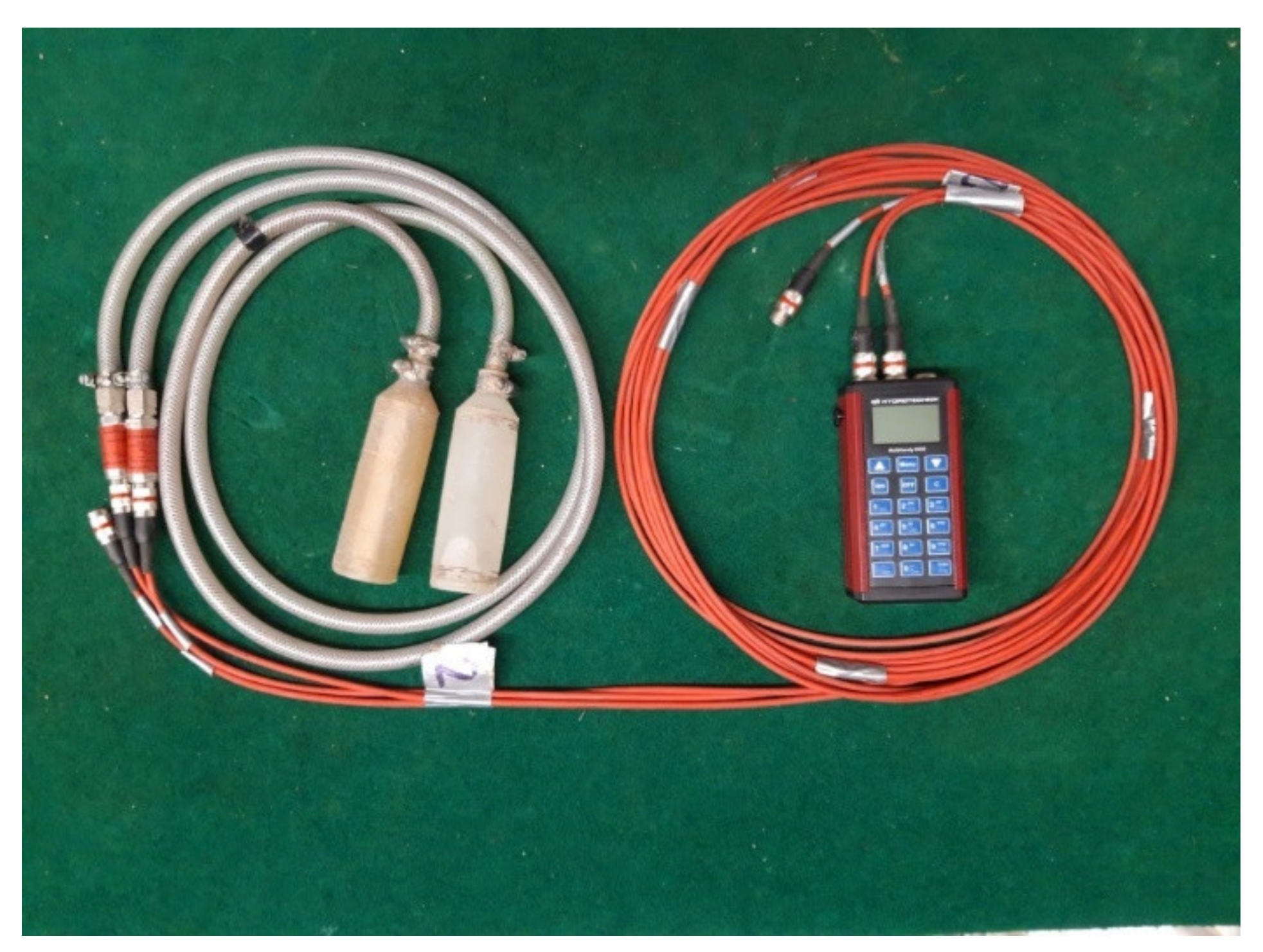 Forests 12 00336 g003