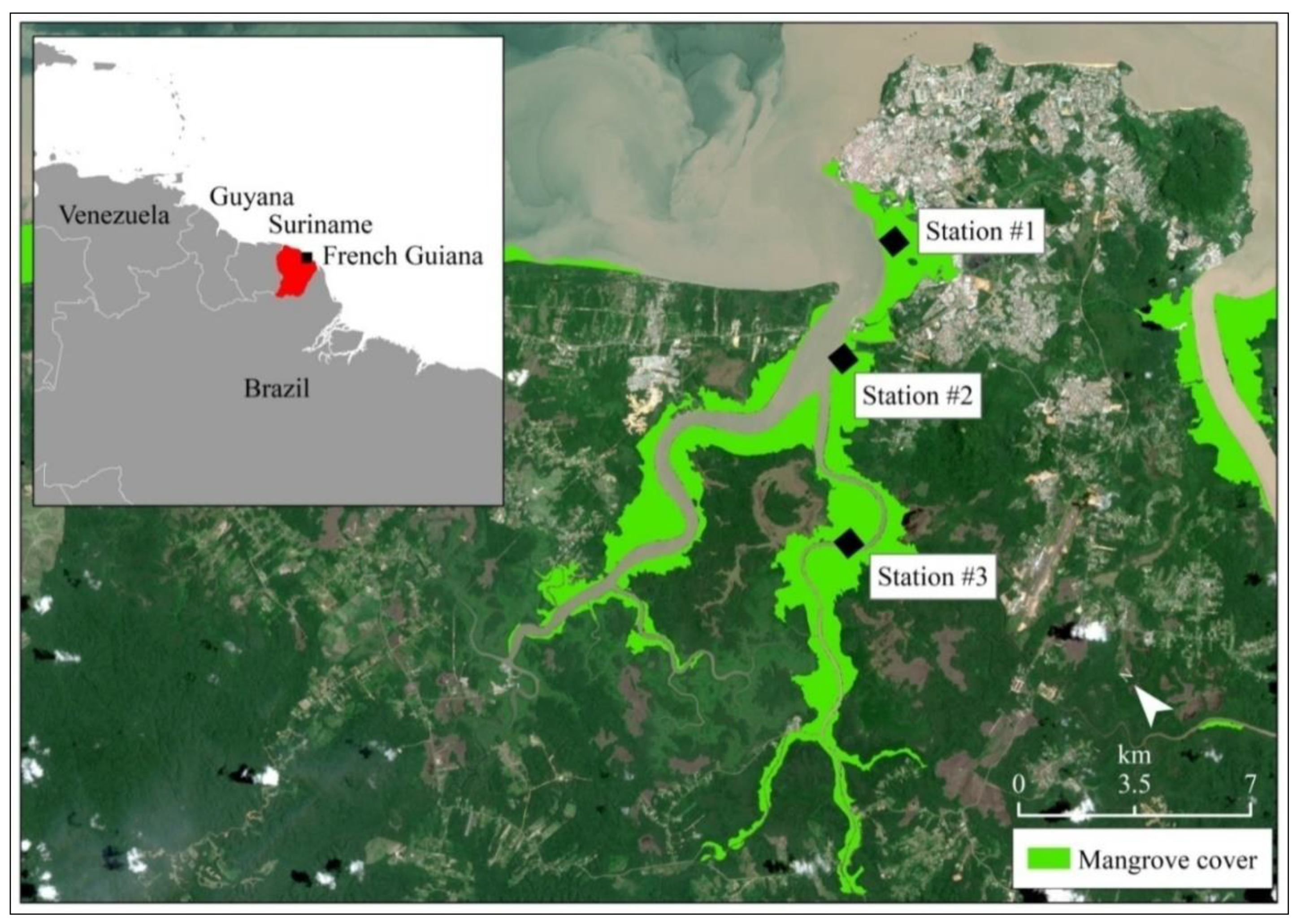 Forests 12 00338 g001