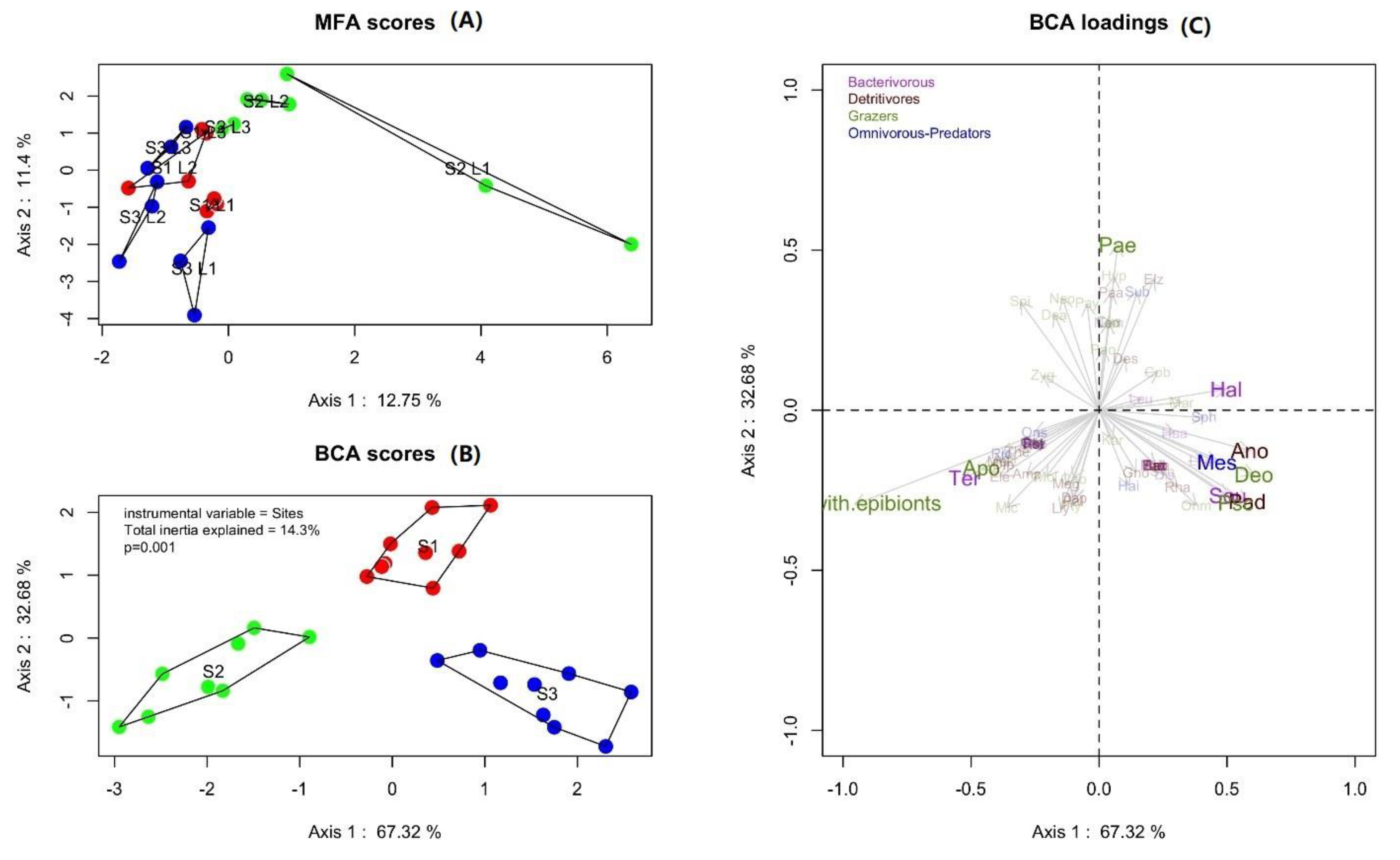 Forests 12 00338 g004