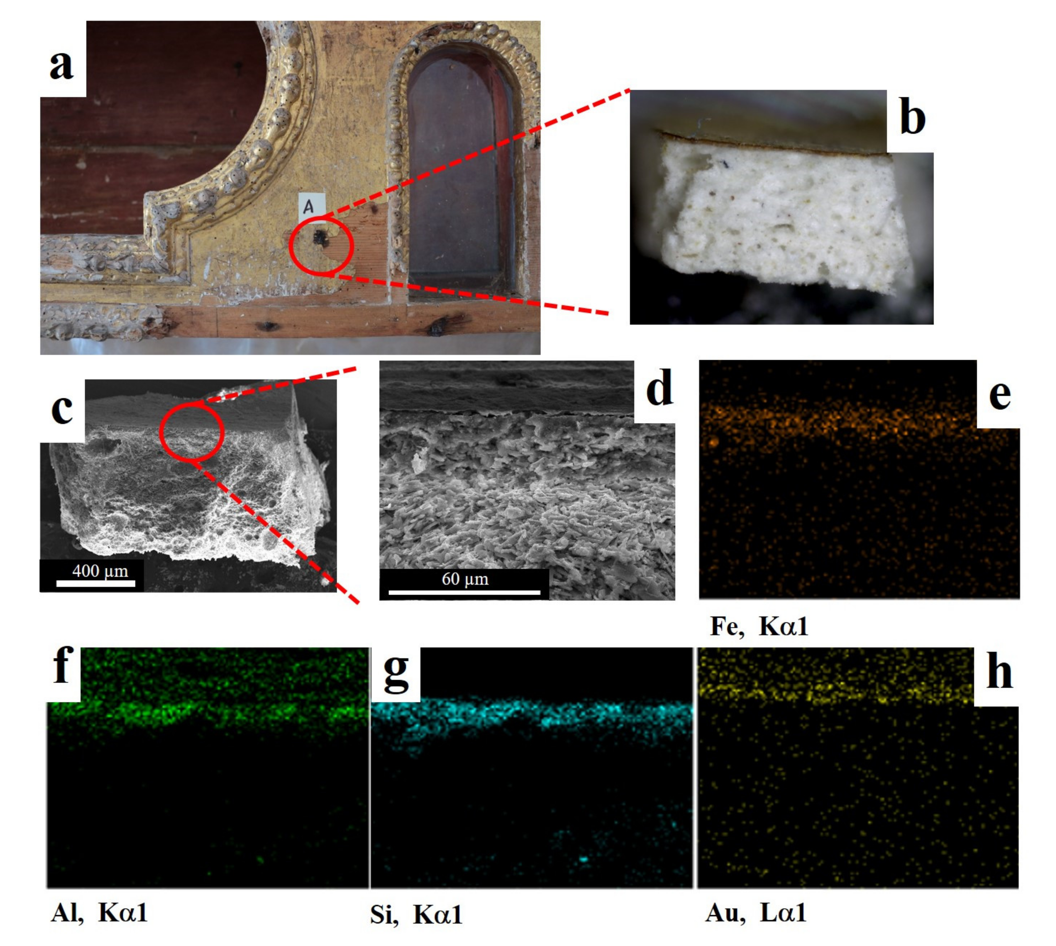 Forests 12 00345 g005 Forests 12 00345 g005