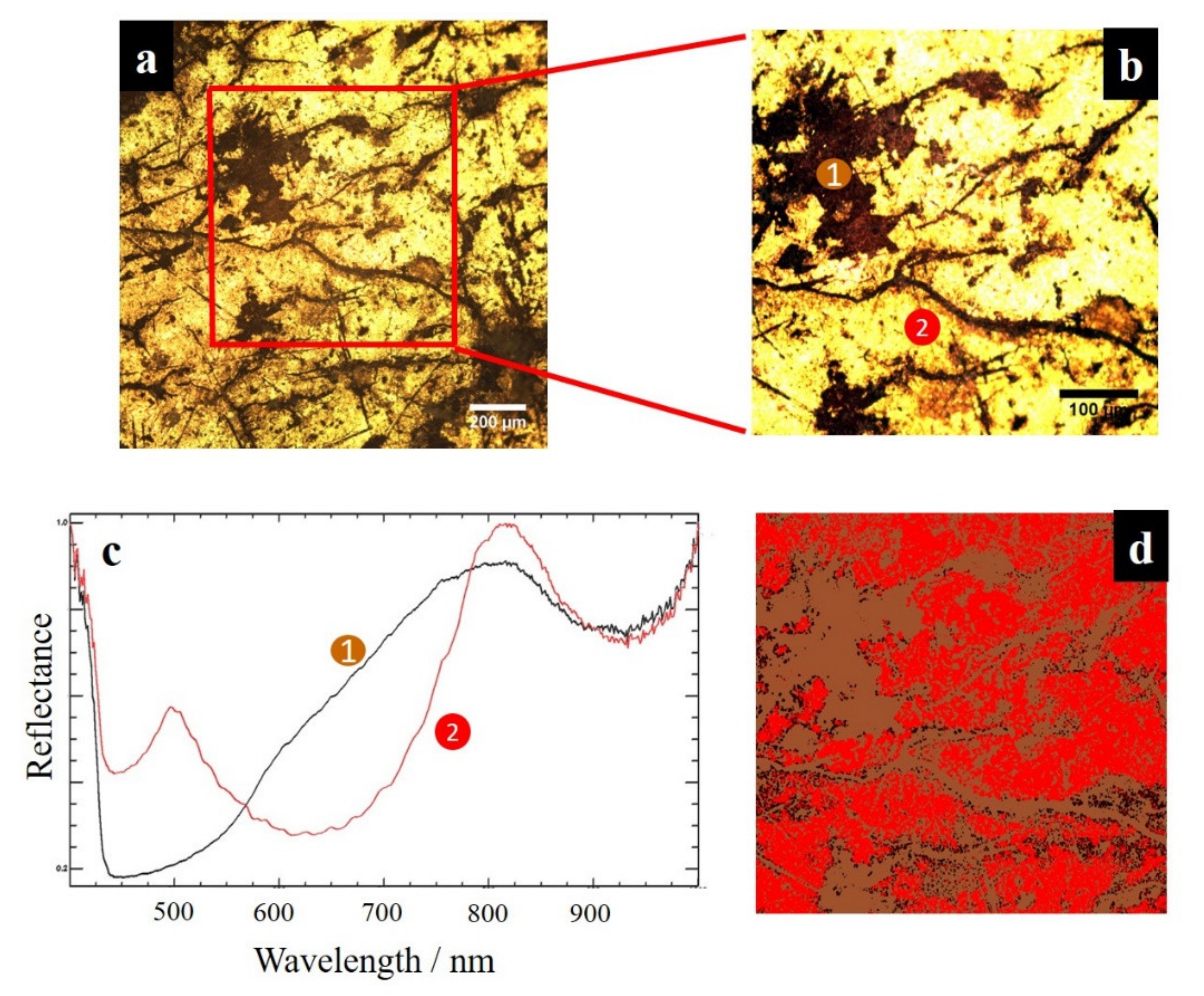 Forests 12 00345 g006 Forests 12 00345 g006