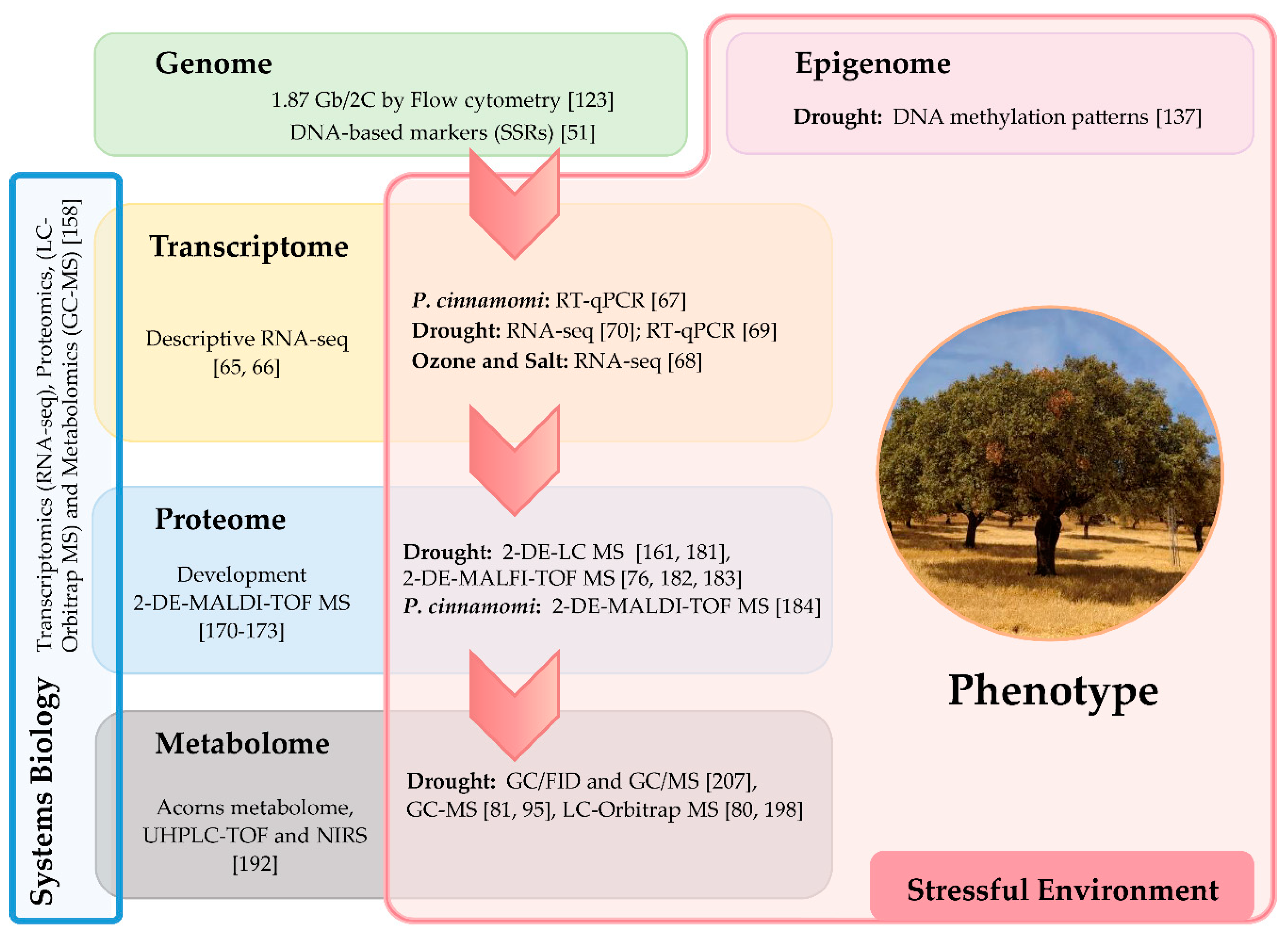 Forests 12 00364 g001