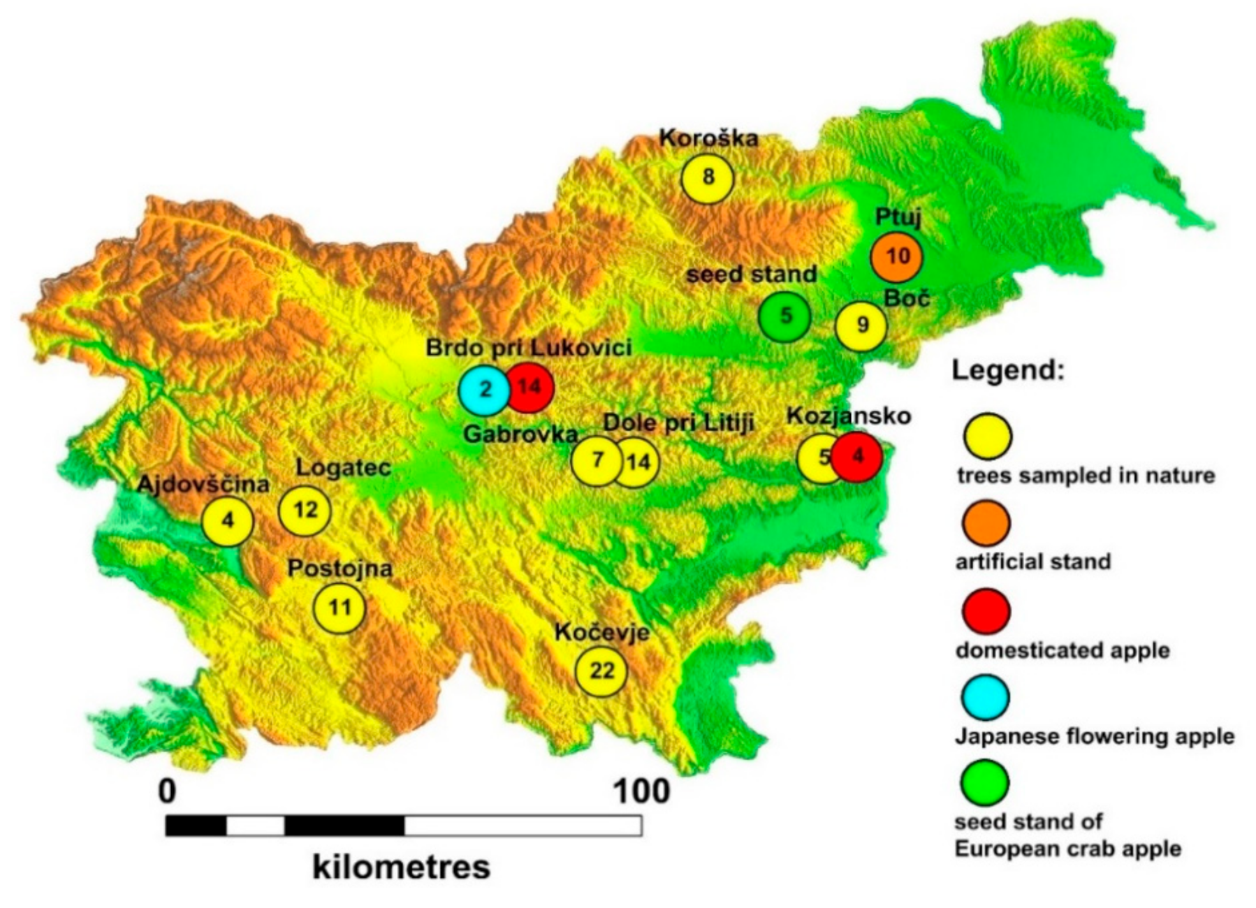 Forests 12 00367 g001