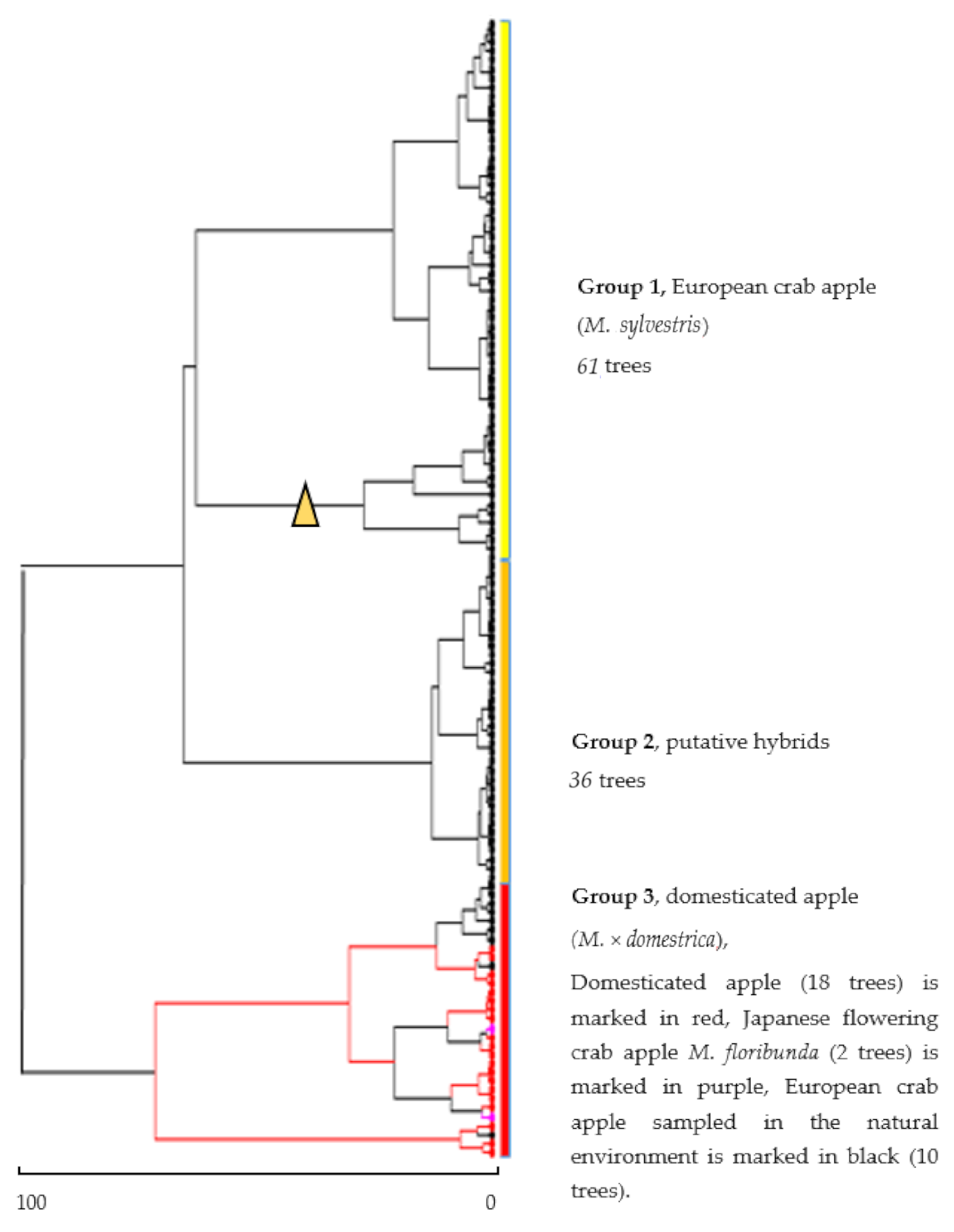 Forests 12 00367 g003