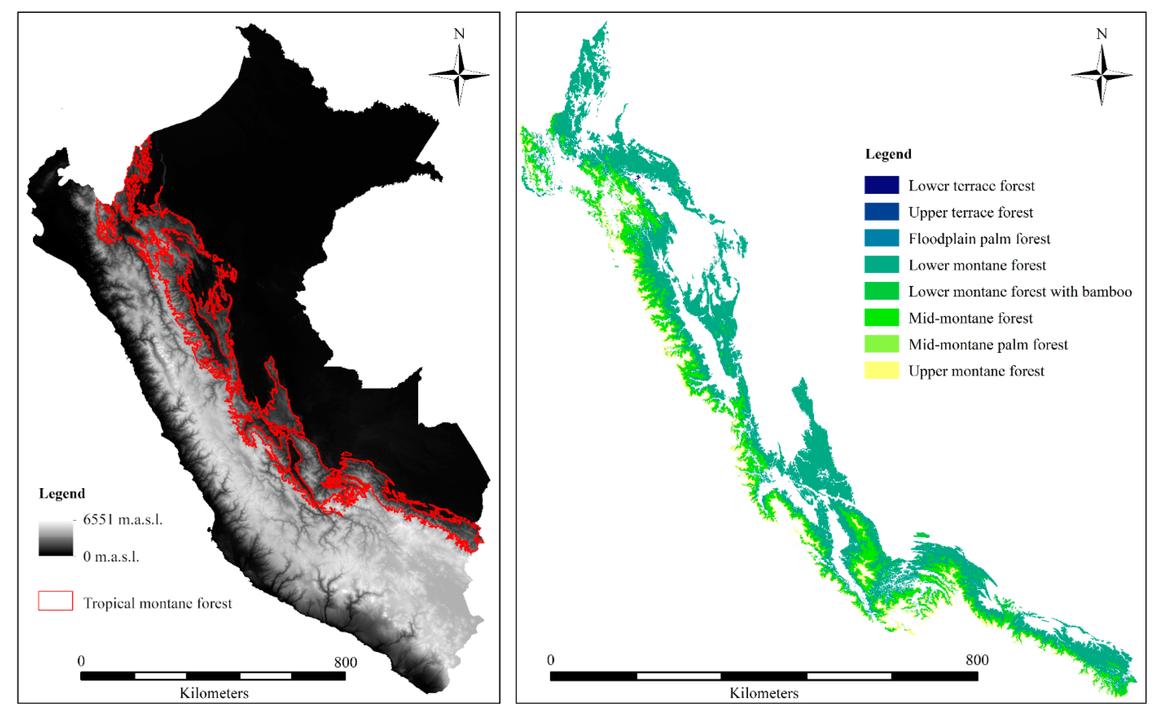 Forests 12 00375 g001