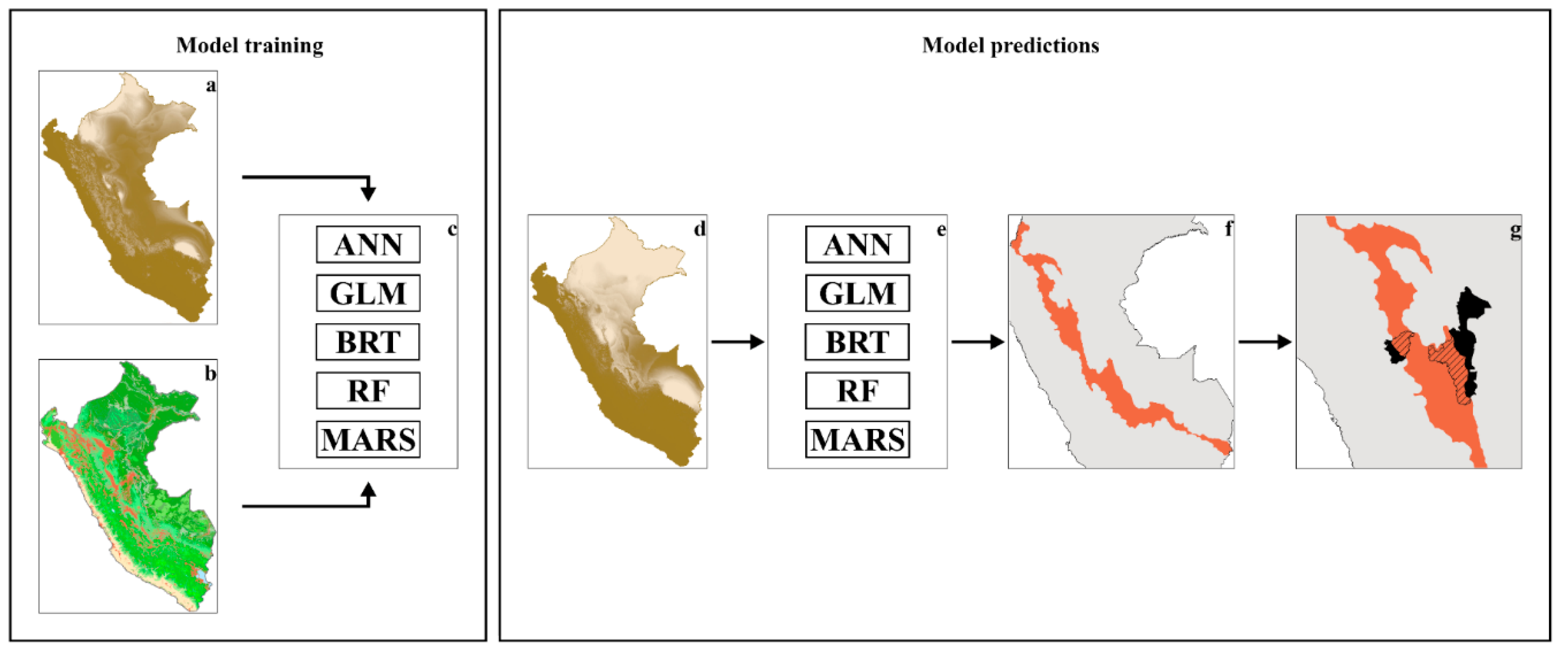 Forests 12 00375 g002