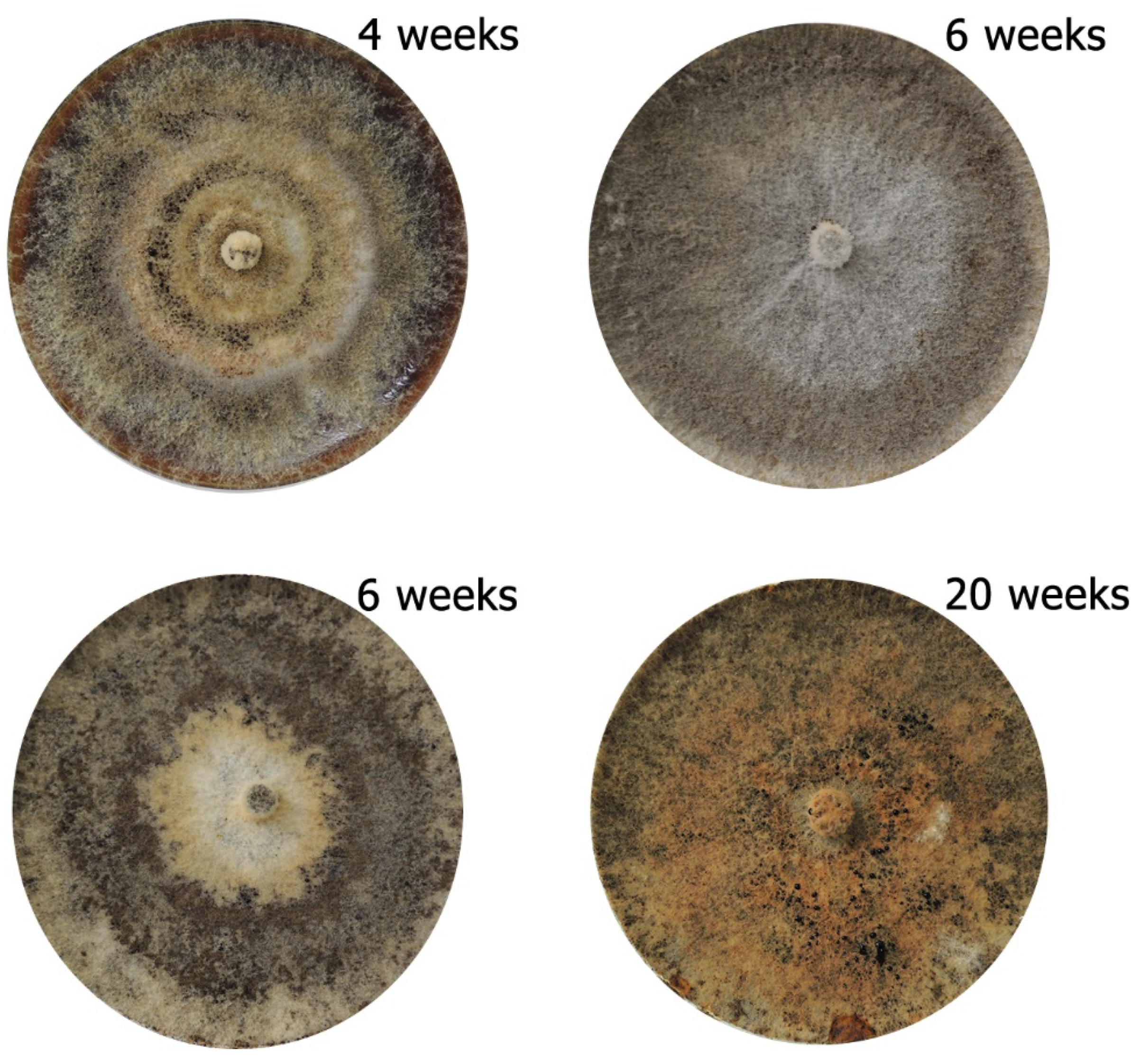 Forests 12 00377 g003 Forests 12 00377 g003