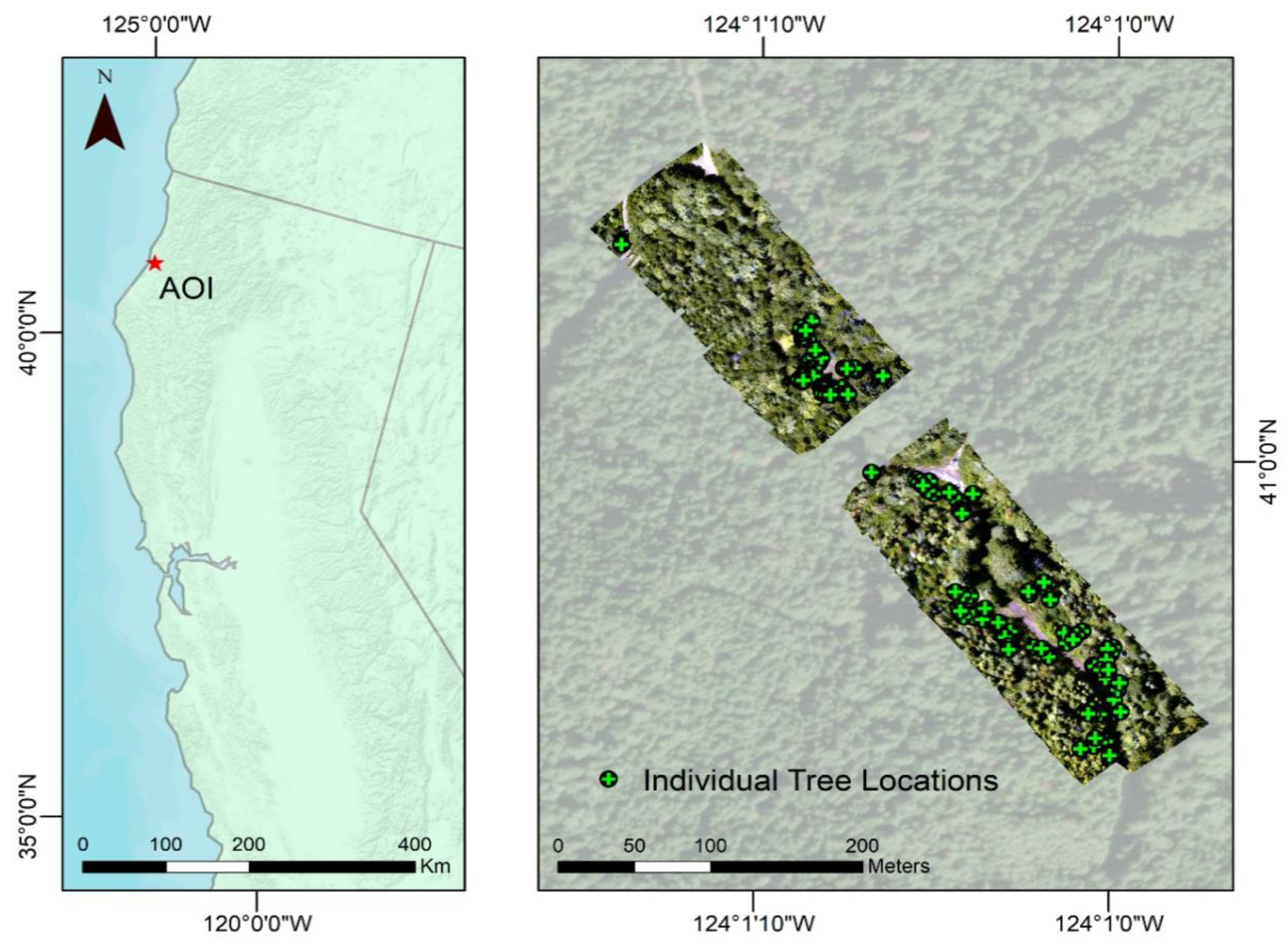 Forests 12 00378 g001