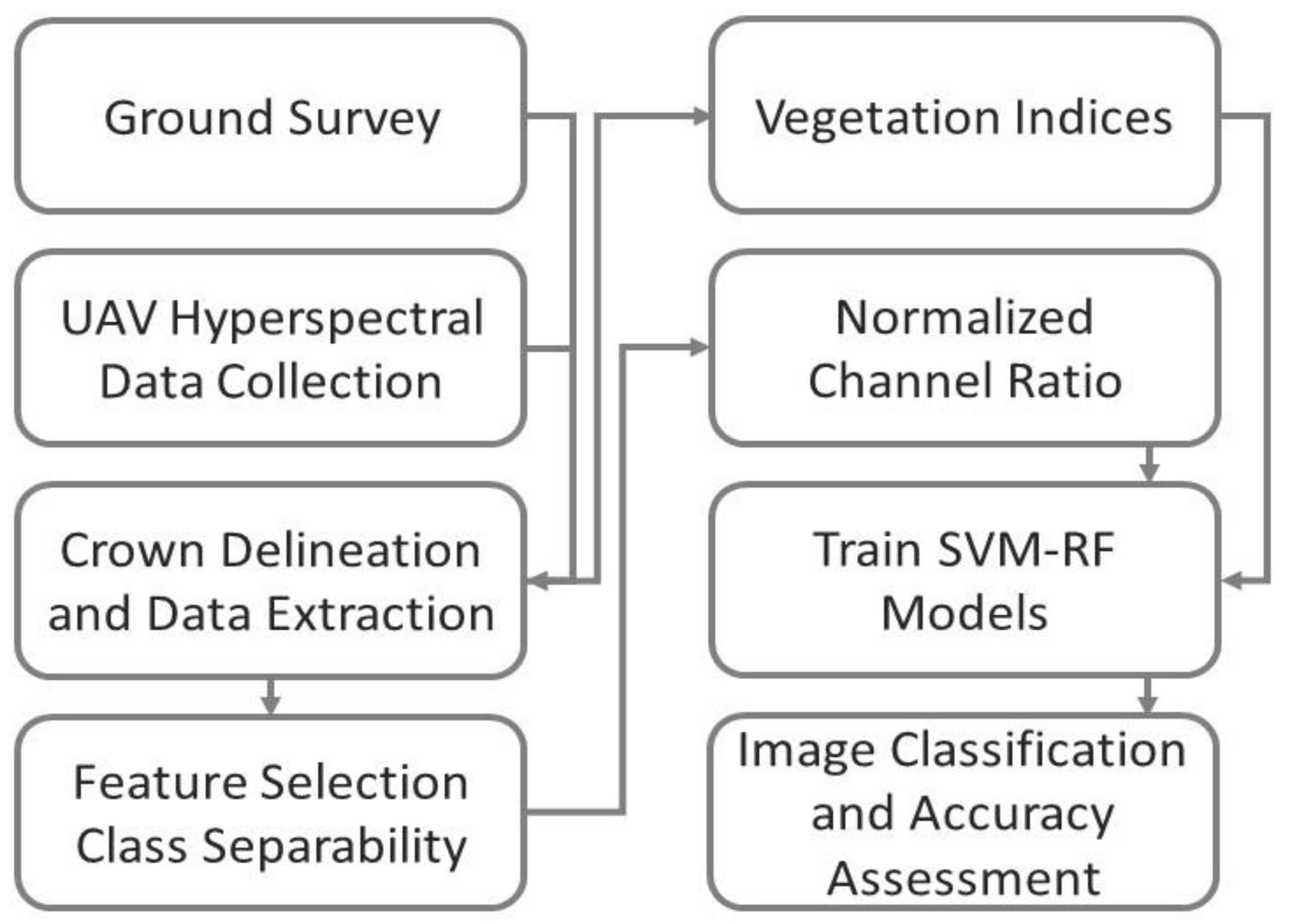 Forests 12 00378 g002