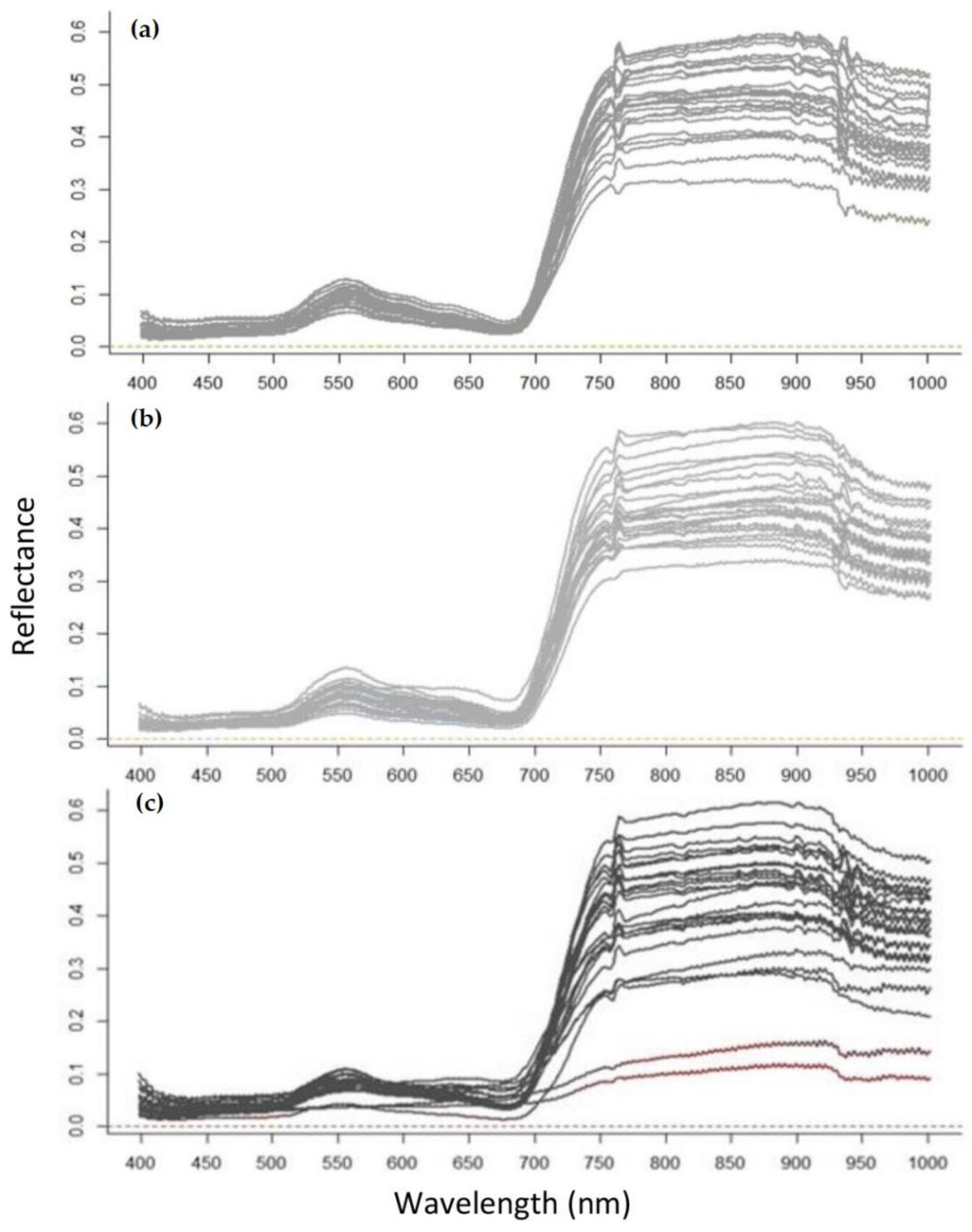 Forests 12 00378 g006