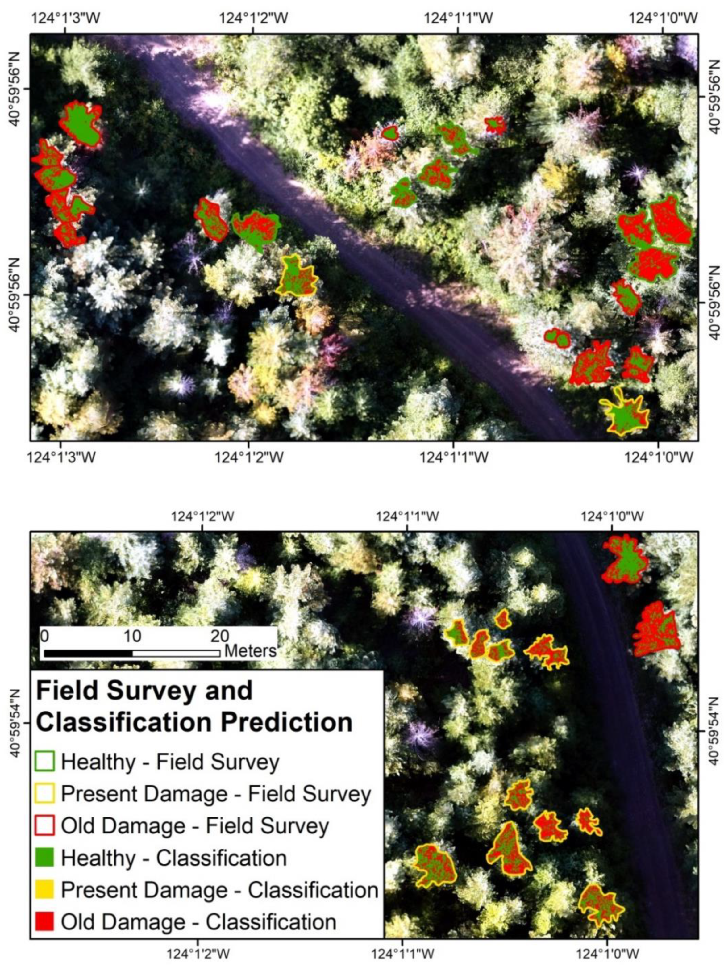 Forests 12 00378 g008