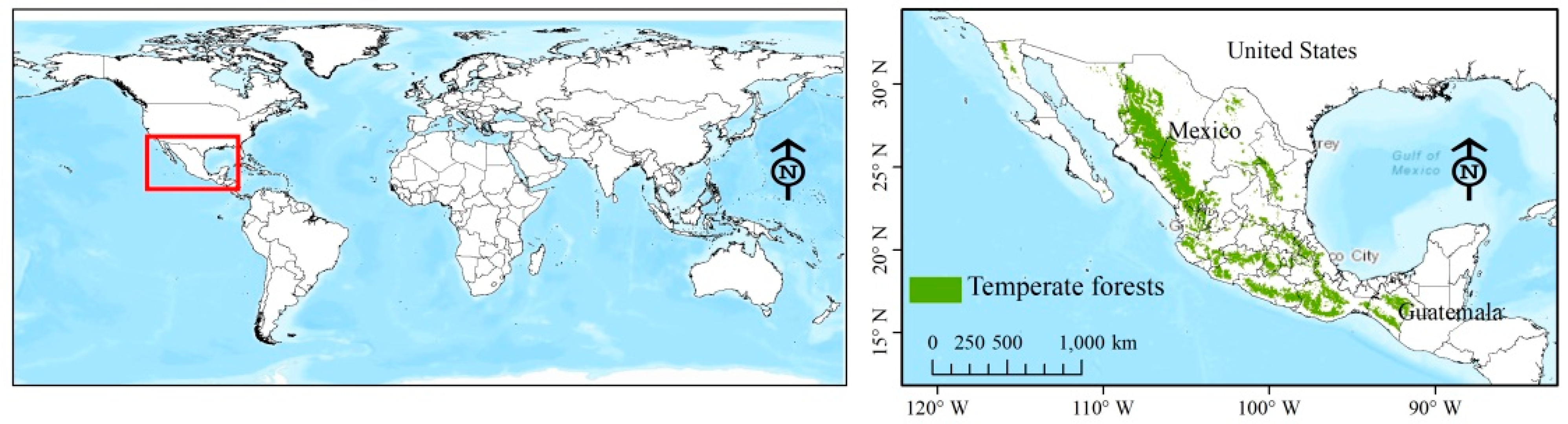 Forests 12 00385 g001 Forests 12 00385 g001