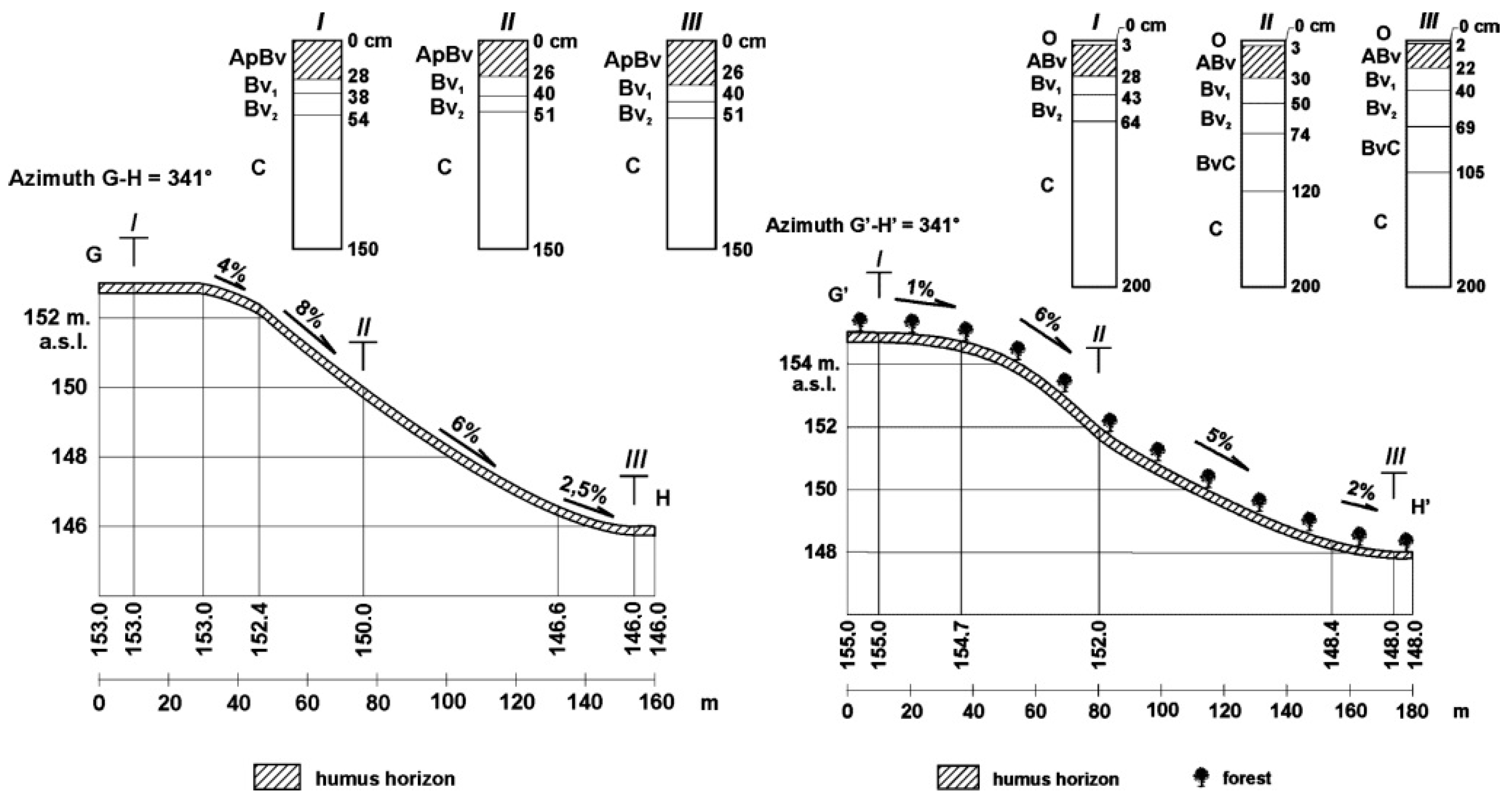 Forests 12 00390 g004