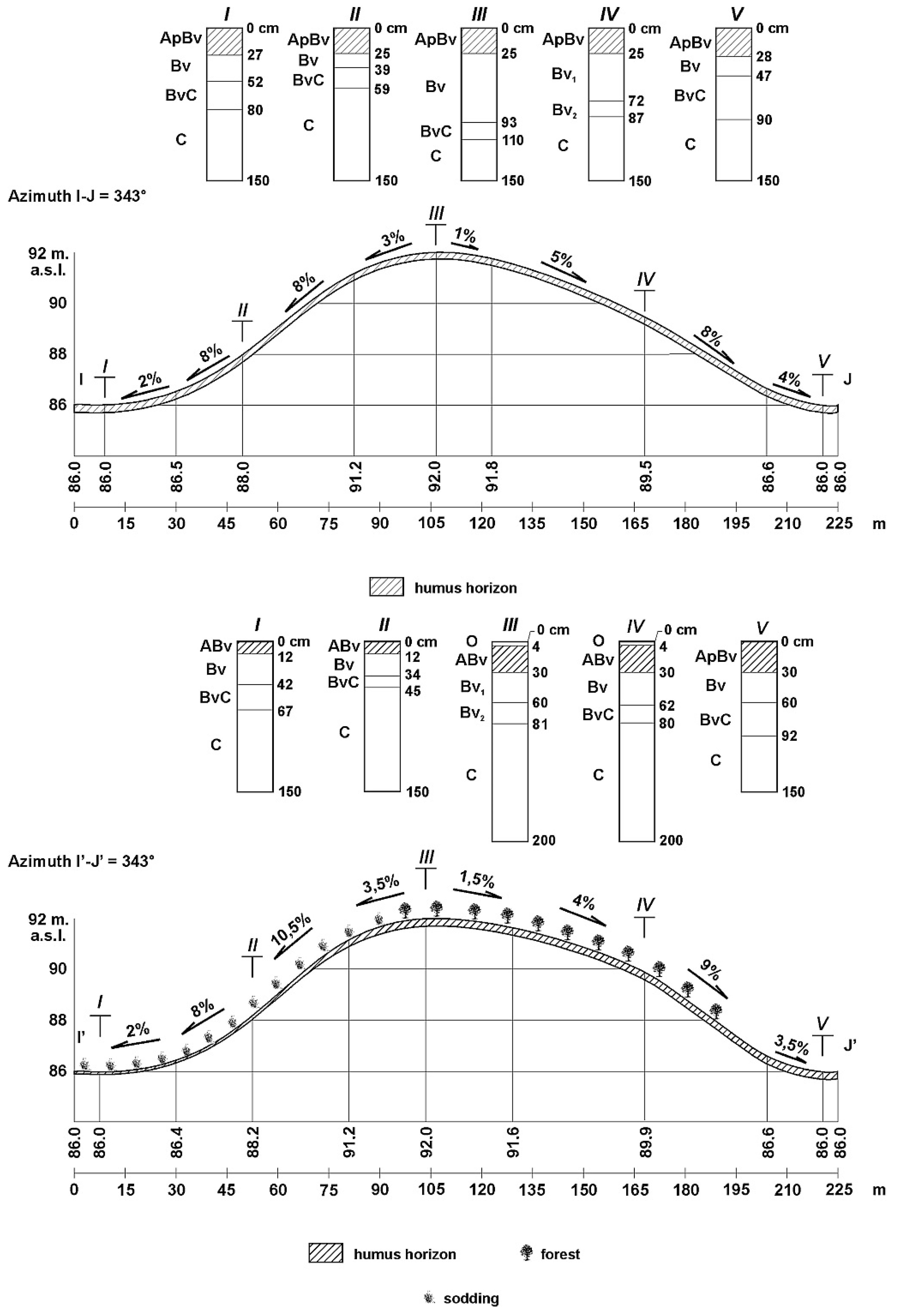 Forests 12 00390 g005