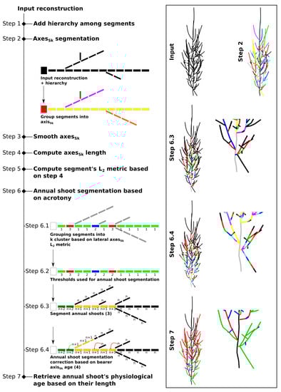 Forests 12 00391 g002