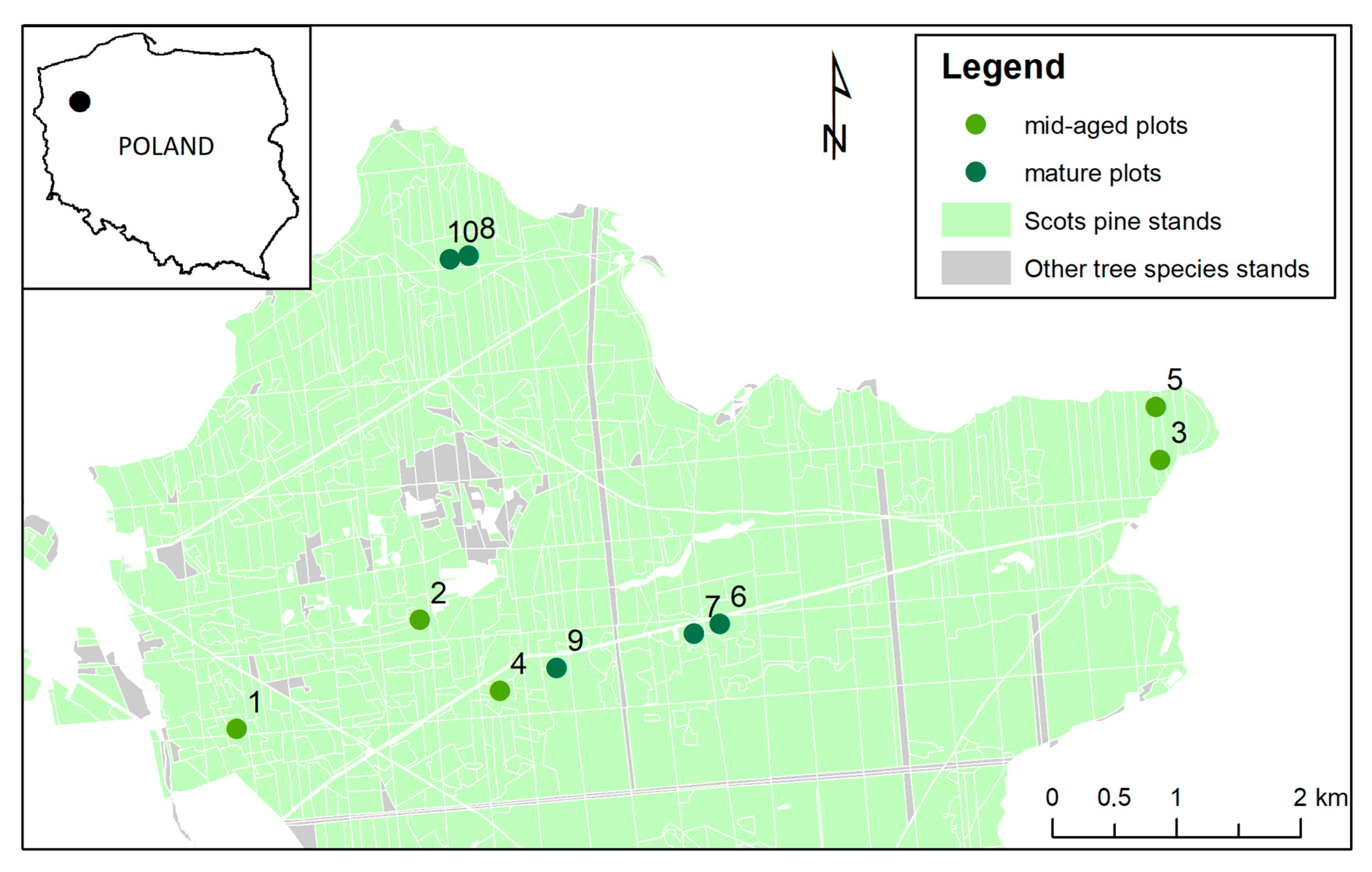 Forests 12 00396 g001