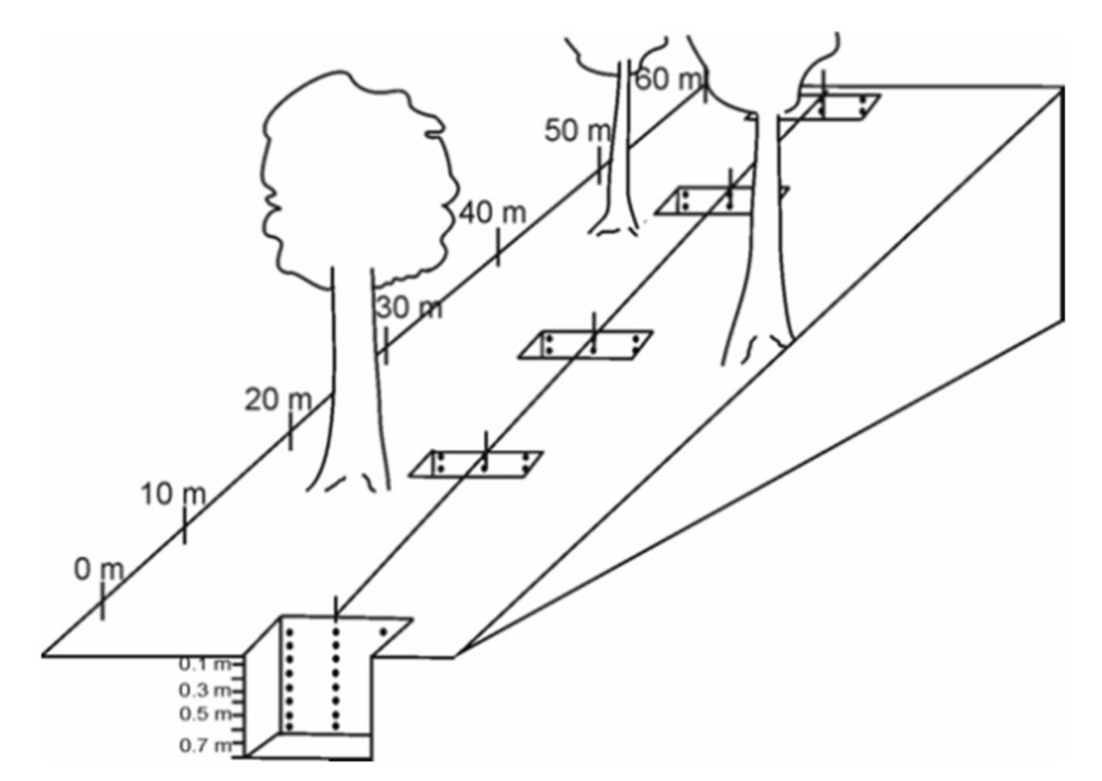 Forests 12 00405 g002