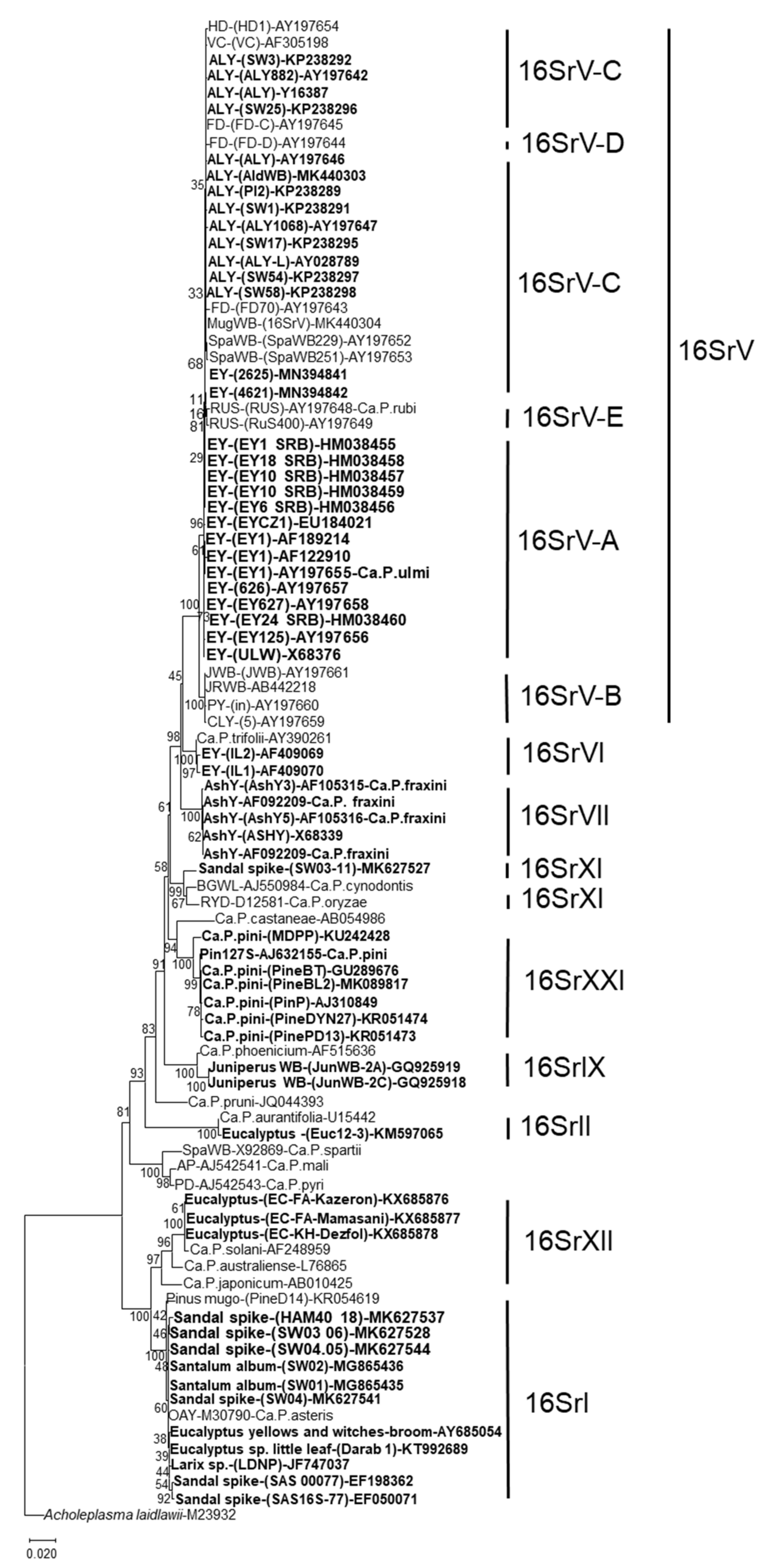Forests 12 00408 g001