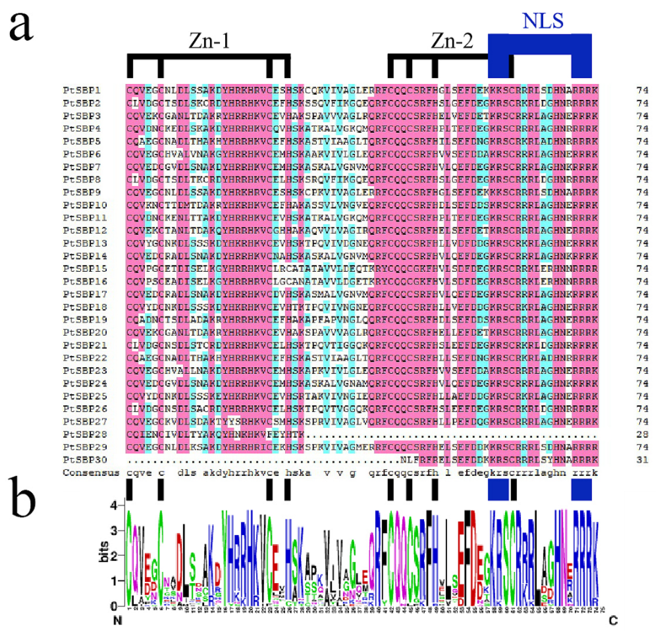 Forests 12 00413 g001