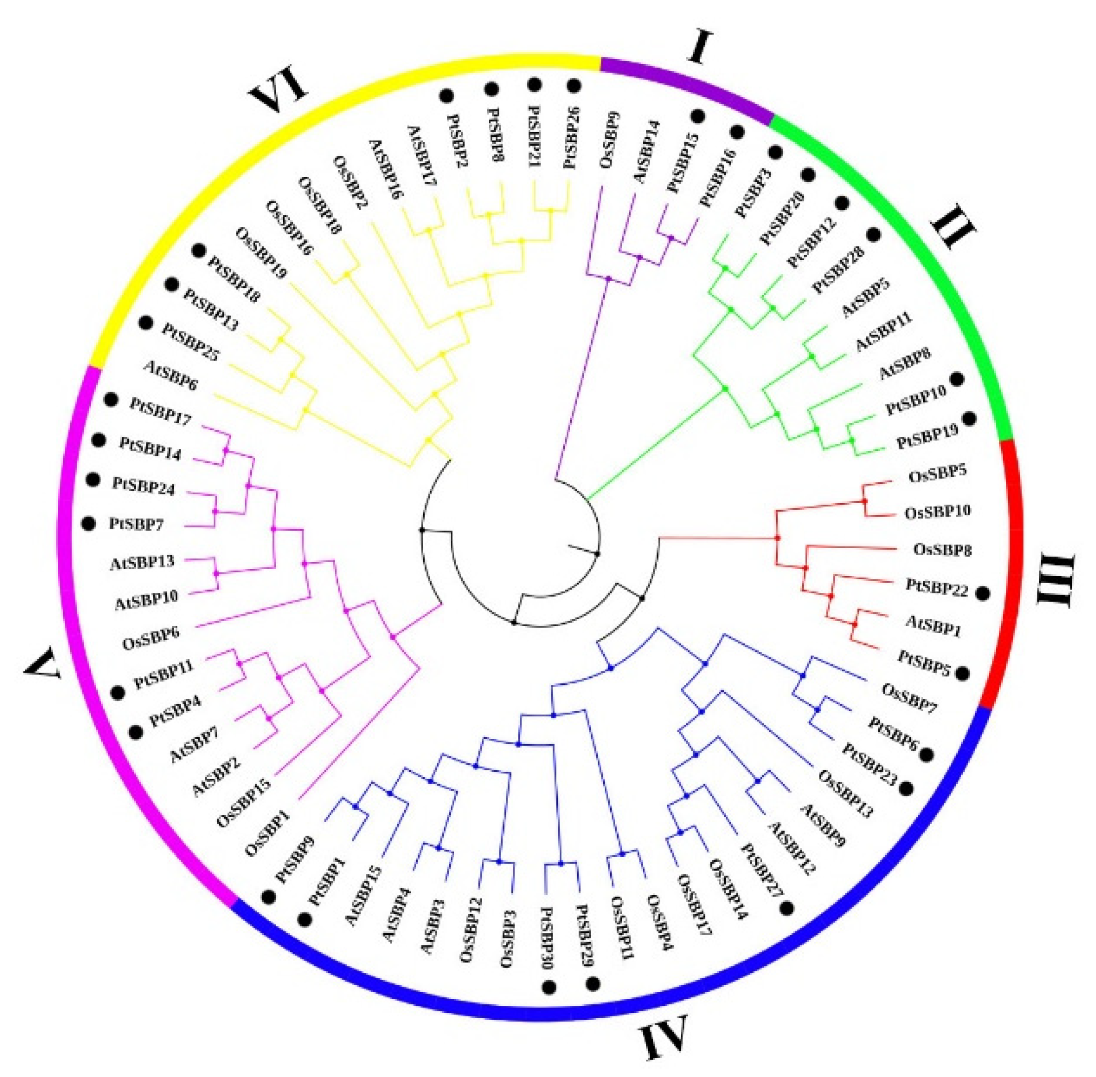 Forests 12 00413 g002
