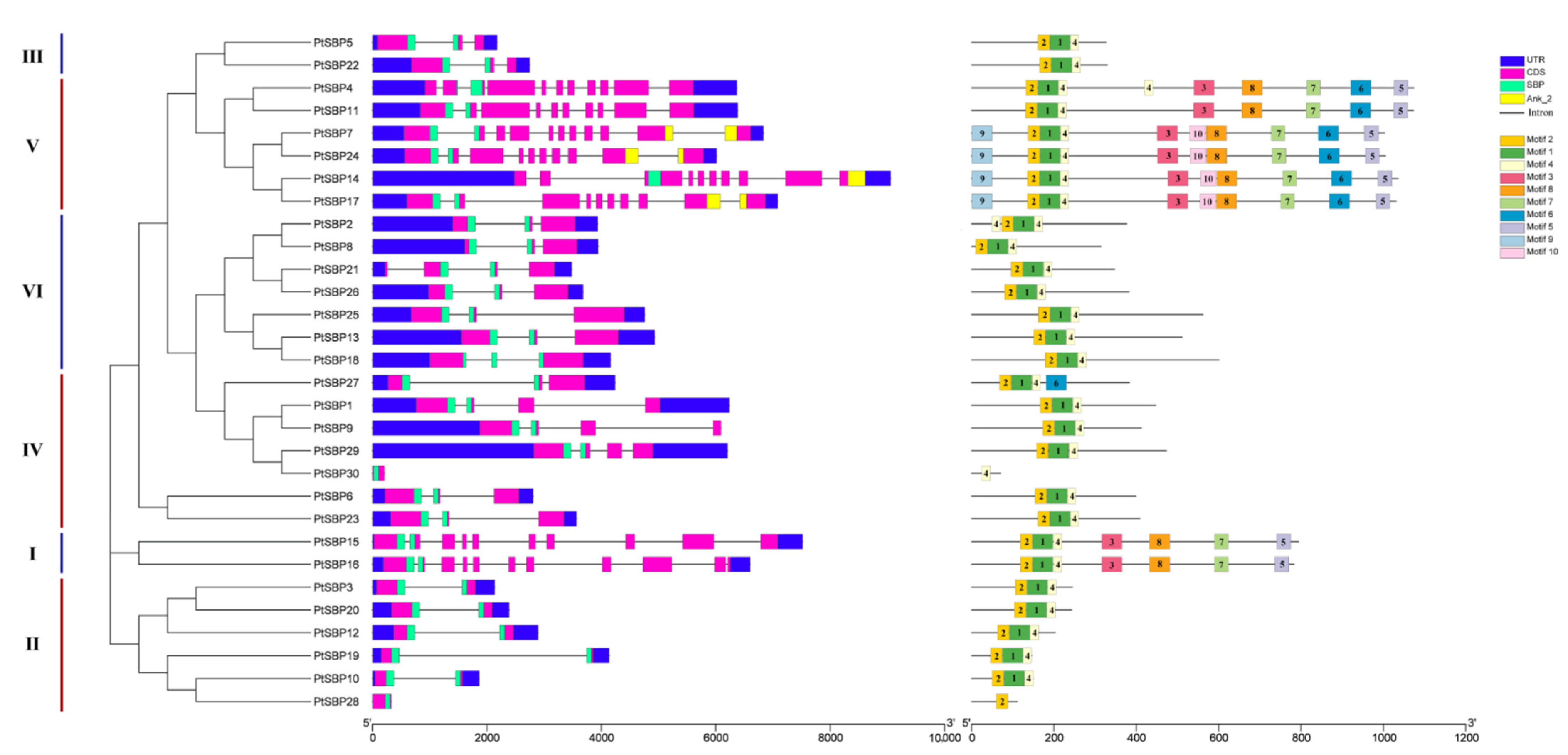 Forests 12 00413 g003