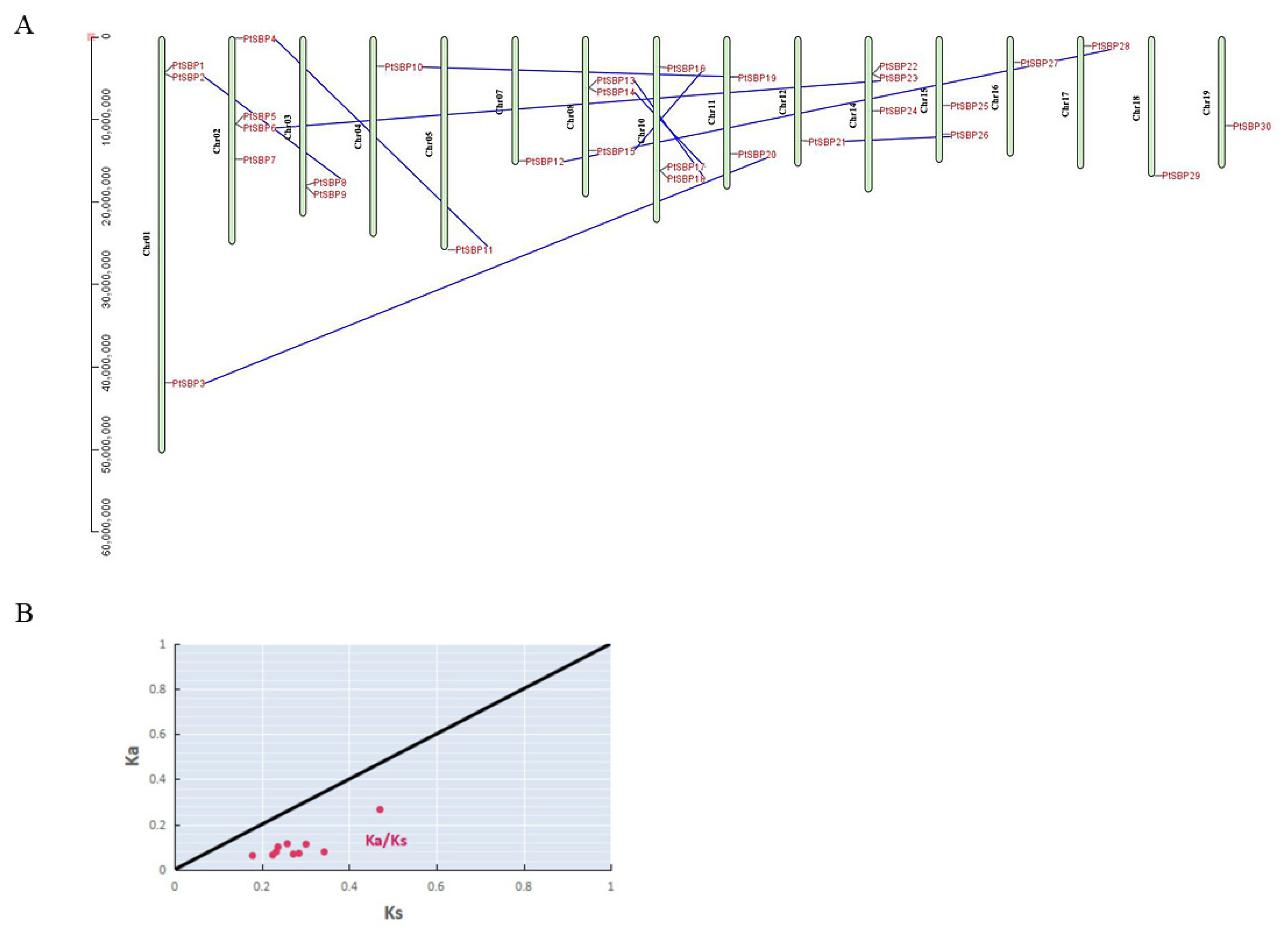 Forests 12 00413 g004