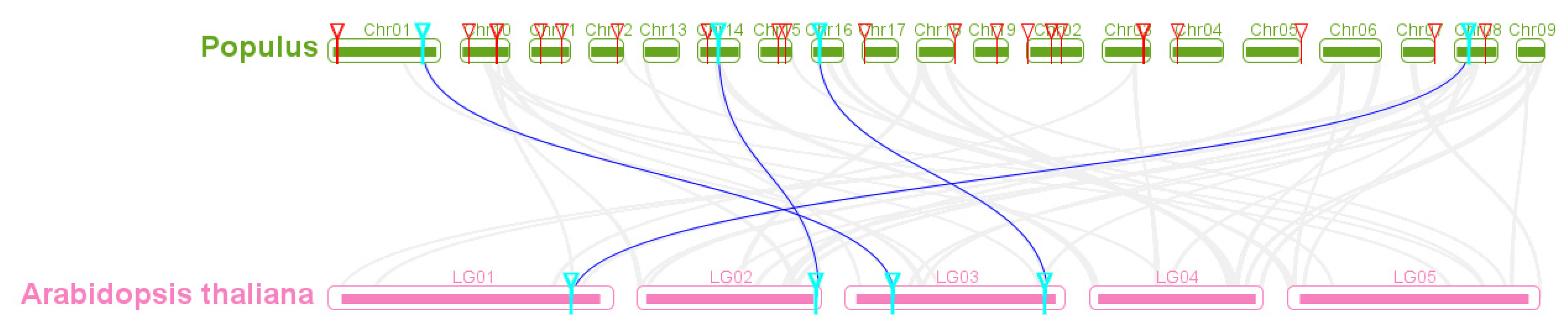 Forests 12 00413 g005